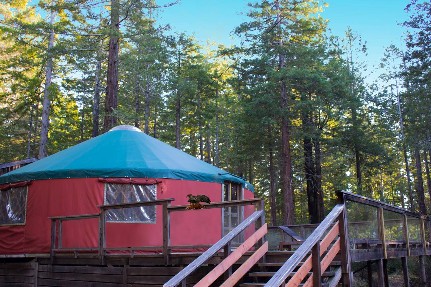 yurt.jpg