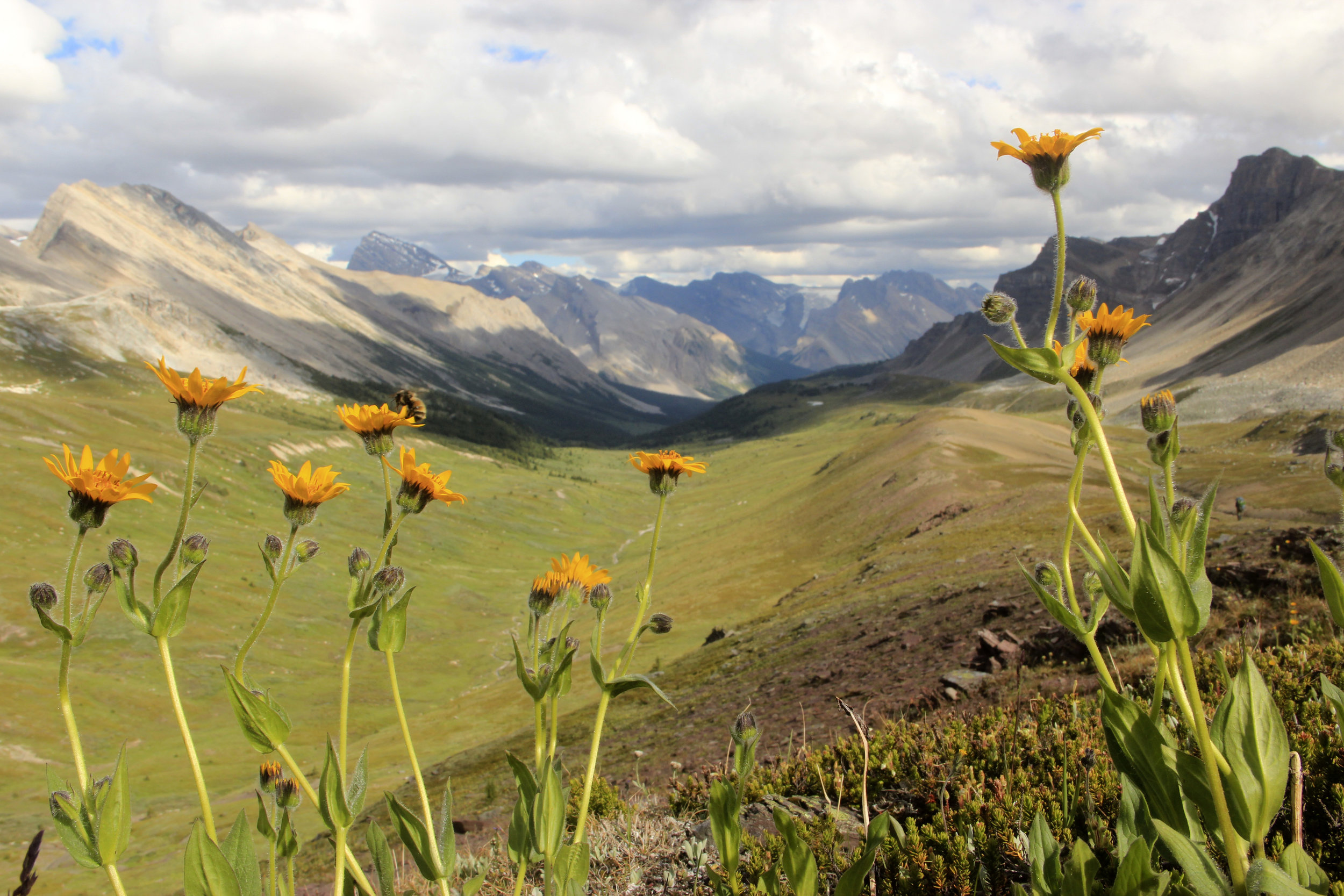 Pipestone Pass