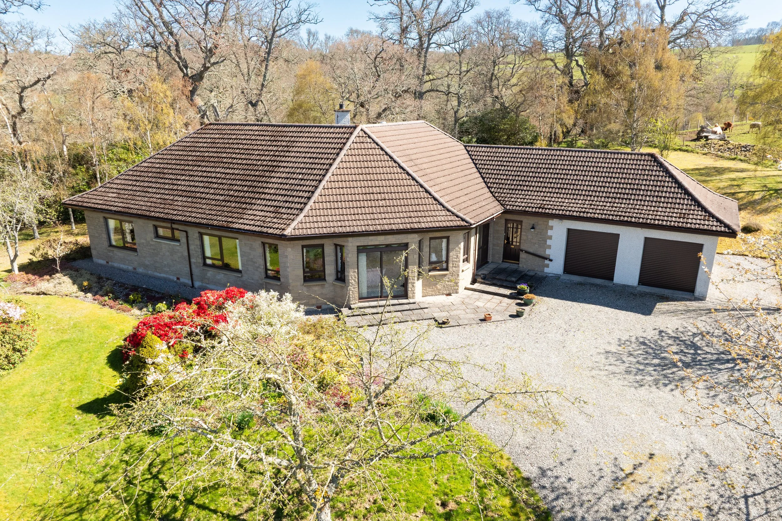 DJI_0290.jpg
