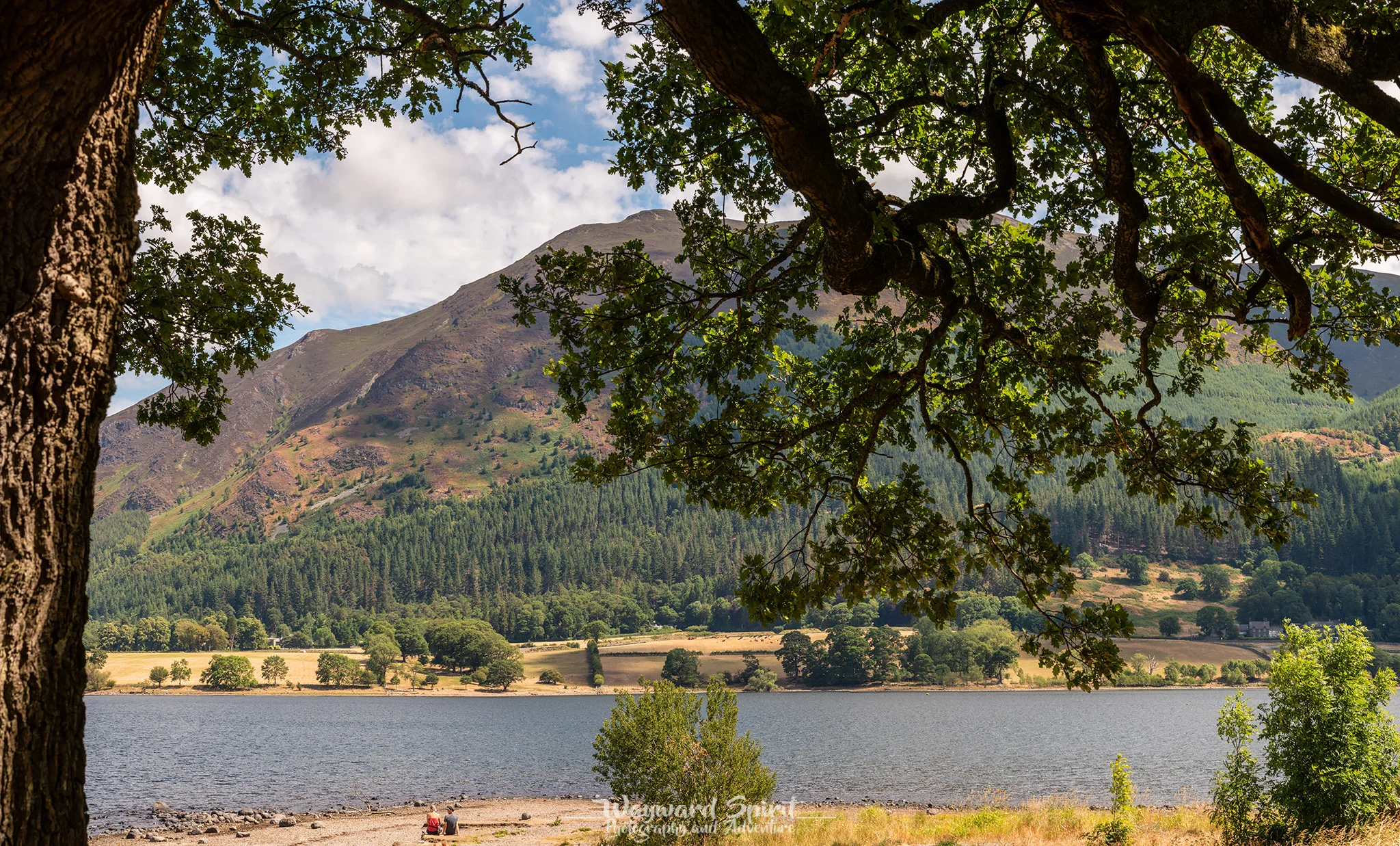 Bassenthwaite Lake yesterday - hot sunshine and browning leaves is giving a summer/autumn hybrid look!