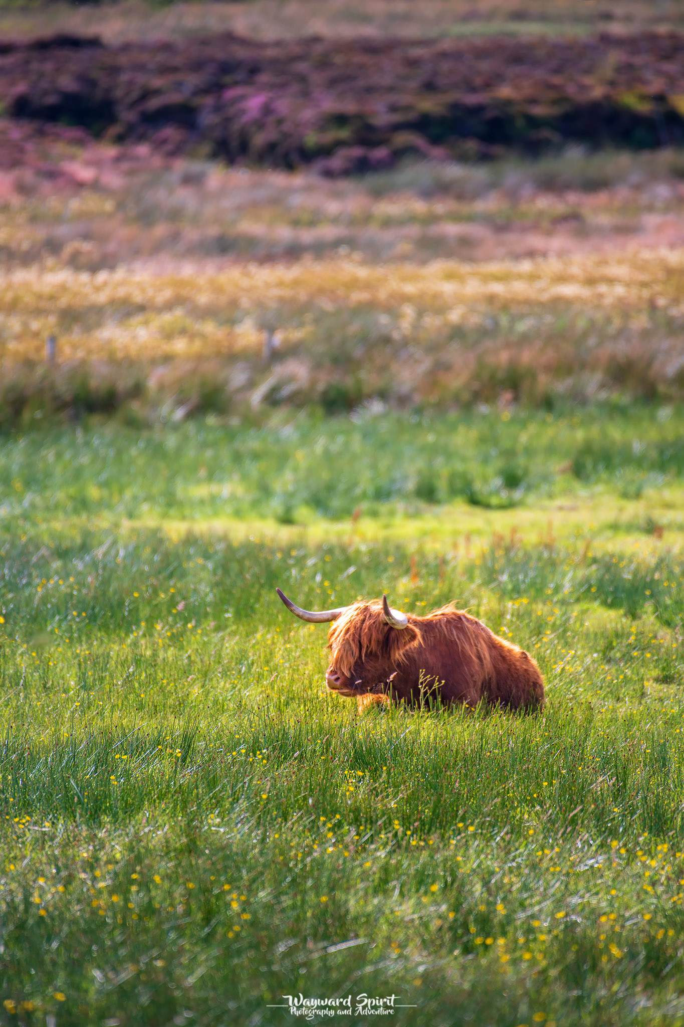 _DSC3524.jpg