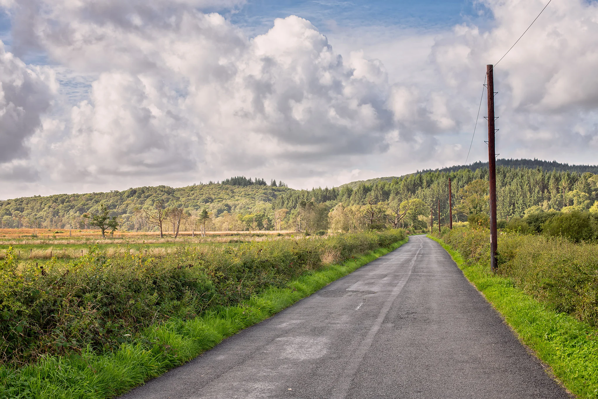 Tuesday: The Causeway across the lower Rusland Valley