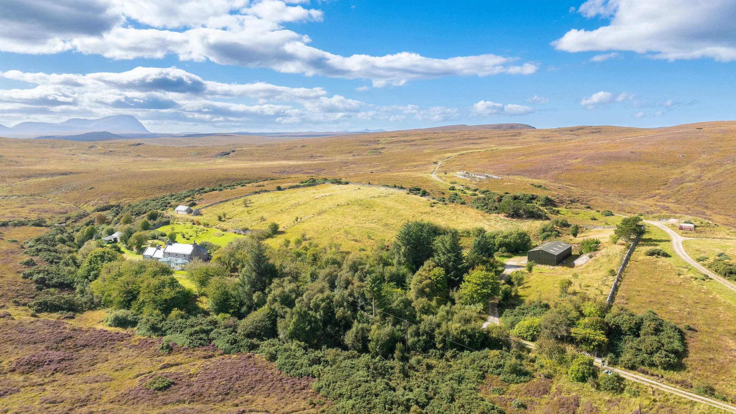 DJI_0084.jpg