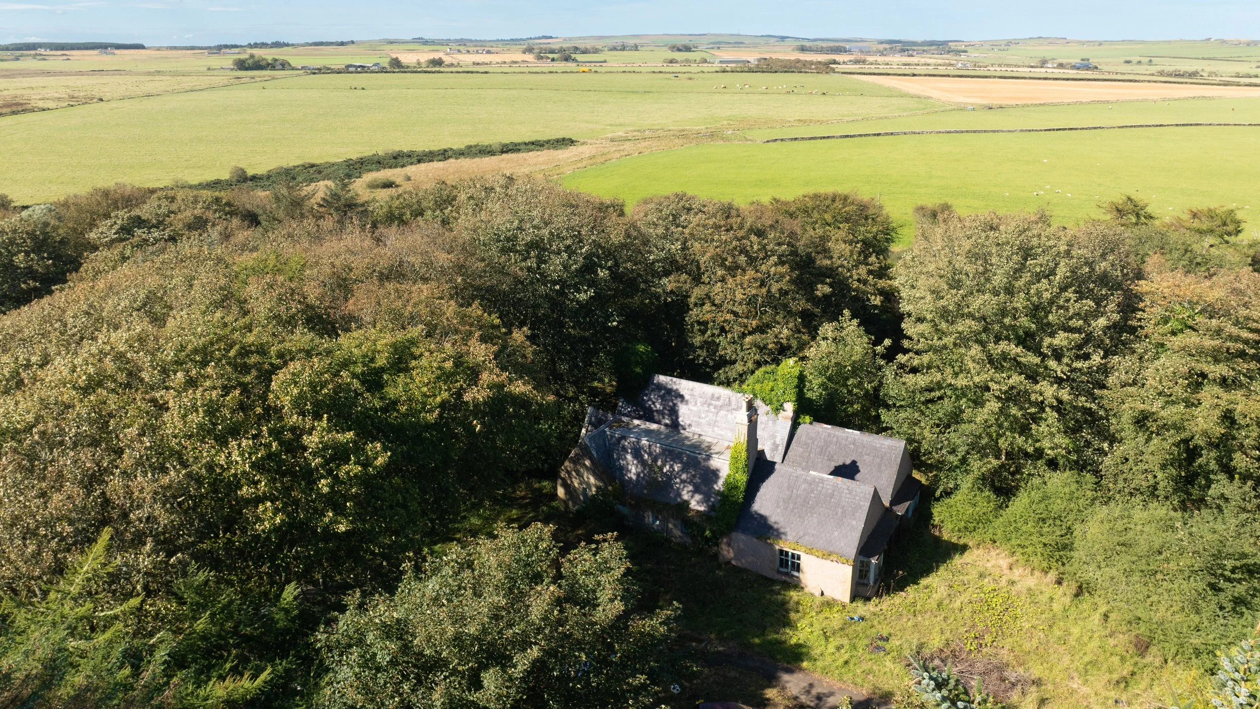 DJI_0109.jpg