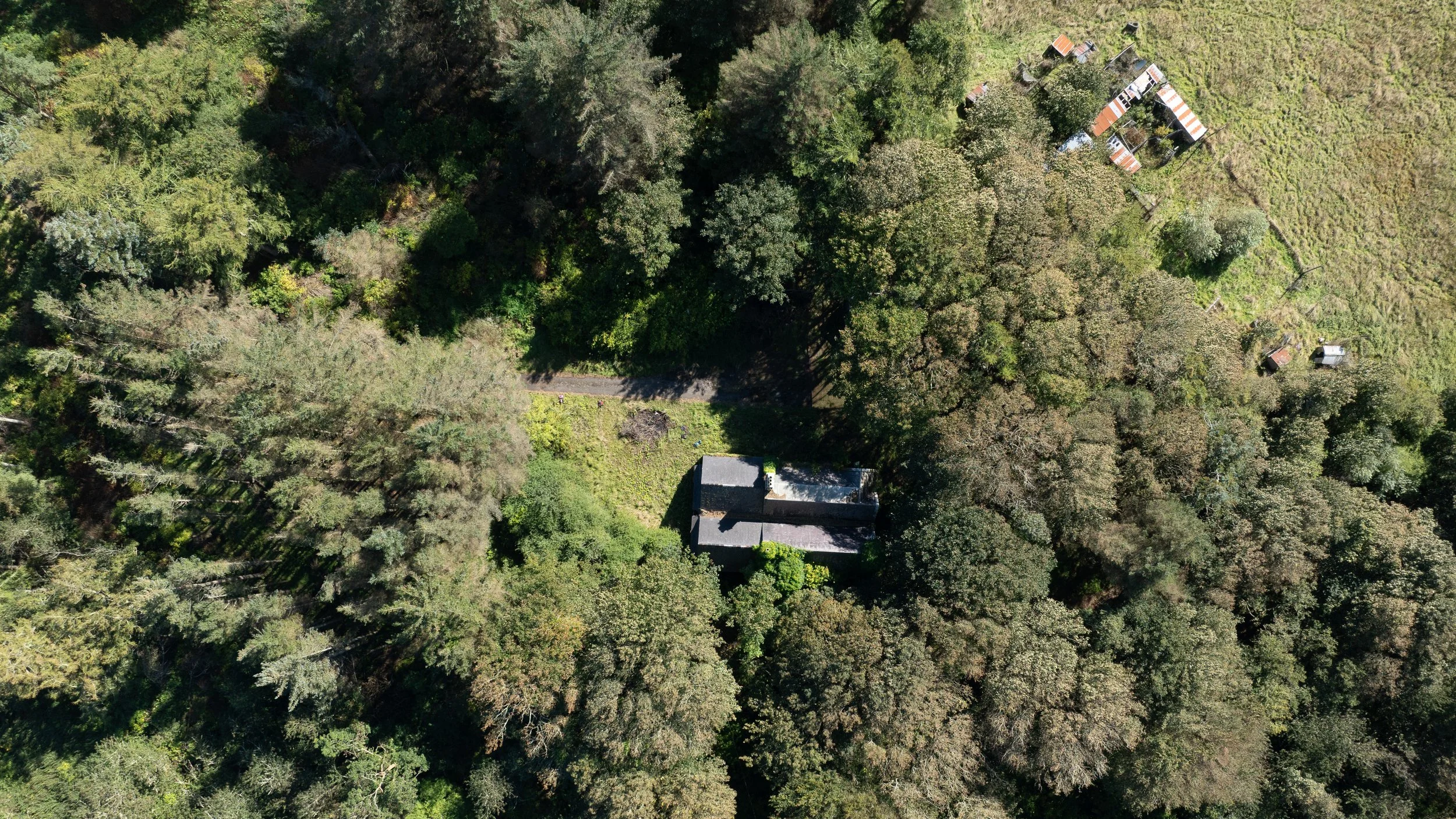 DJI_0113.jpg