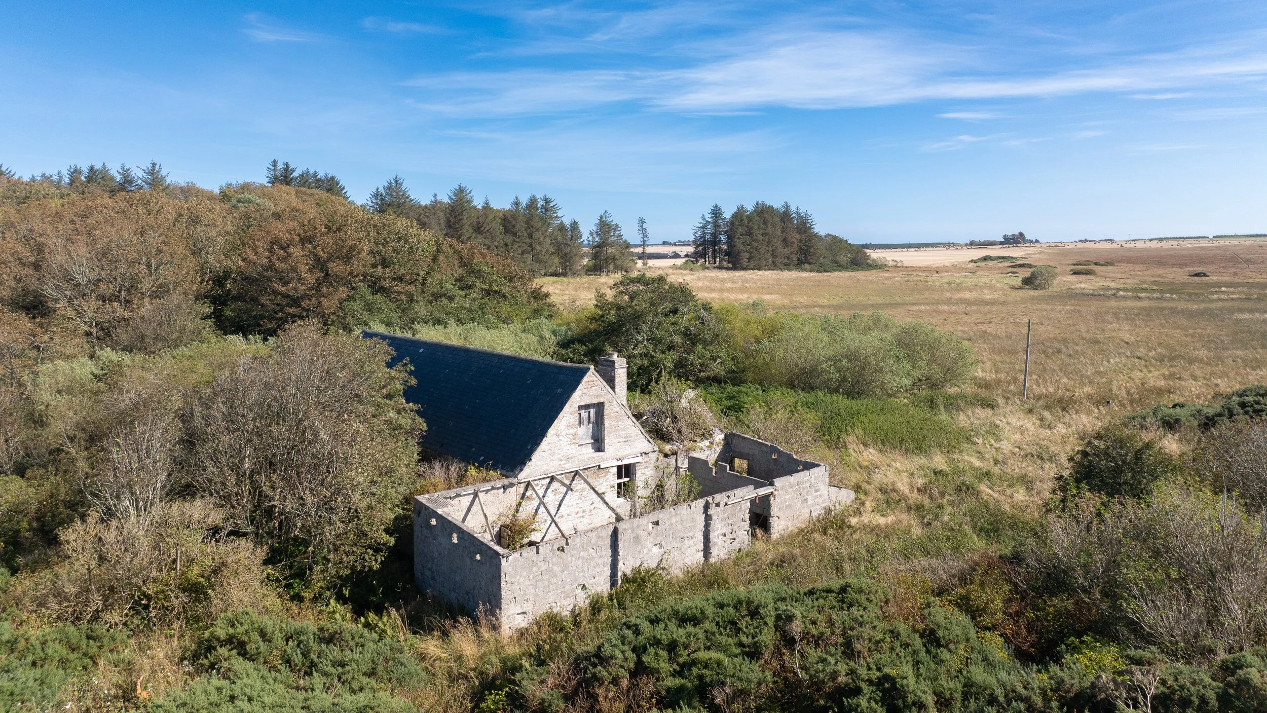 DJI_0124.jpg