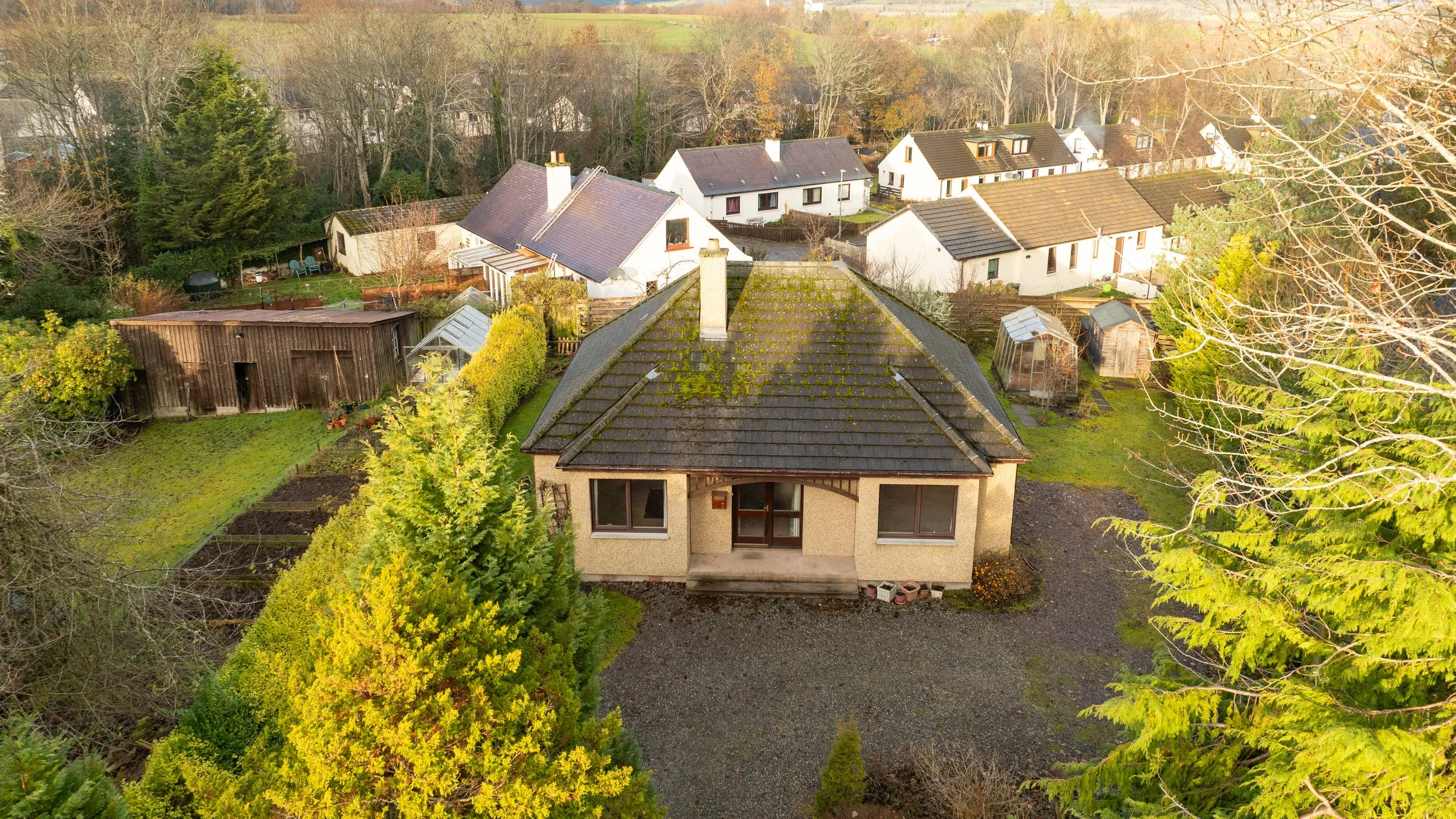 DJI_0135.jpg