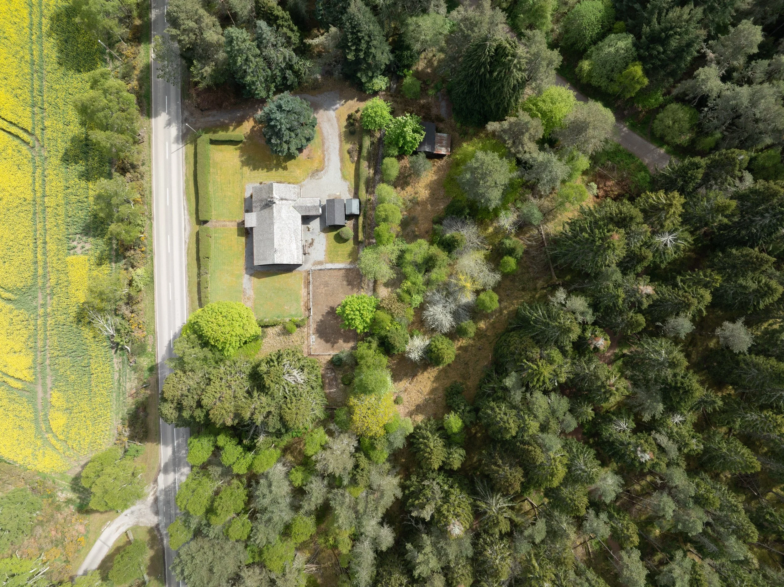 DJI_0706.jpg