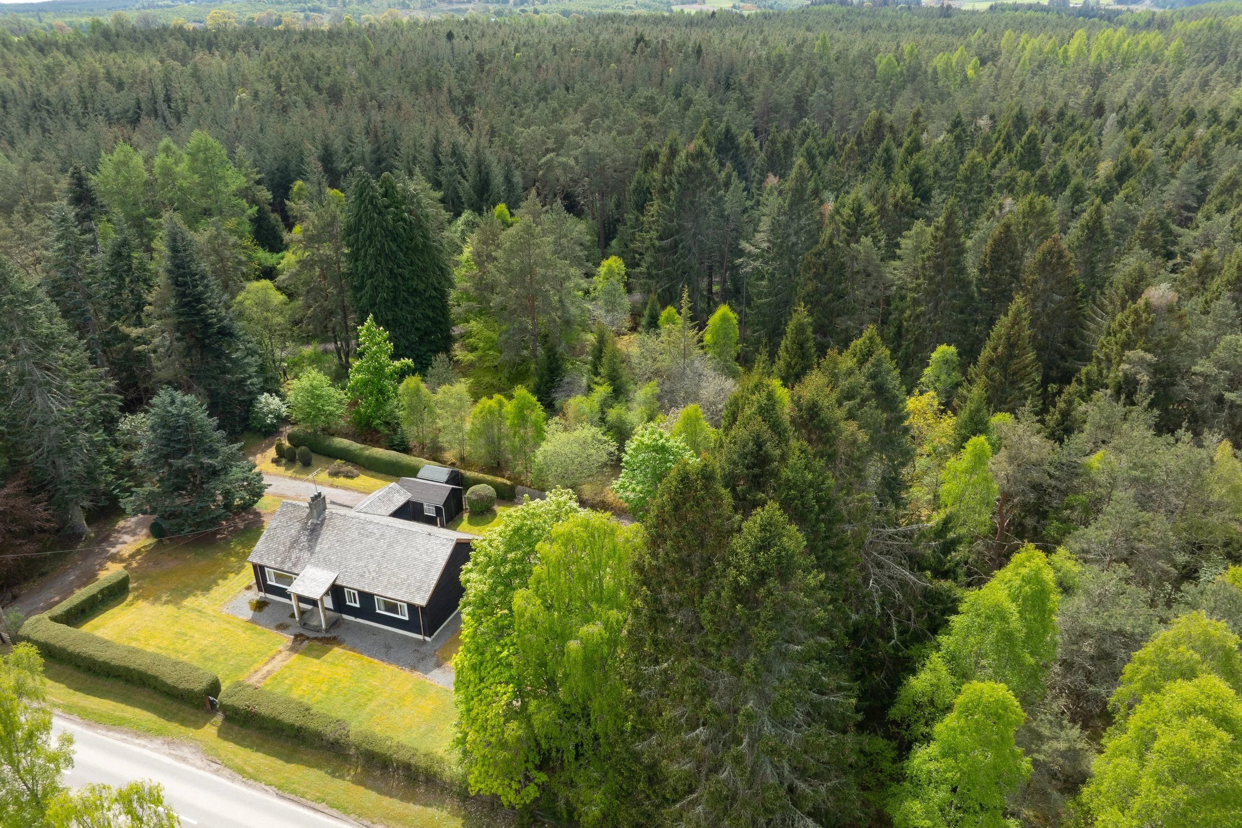 DJI_0705.jpg