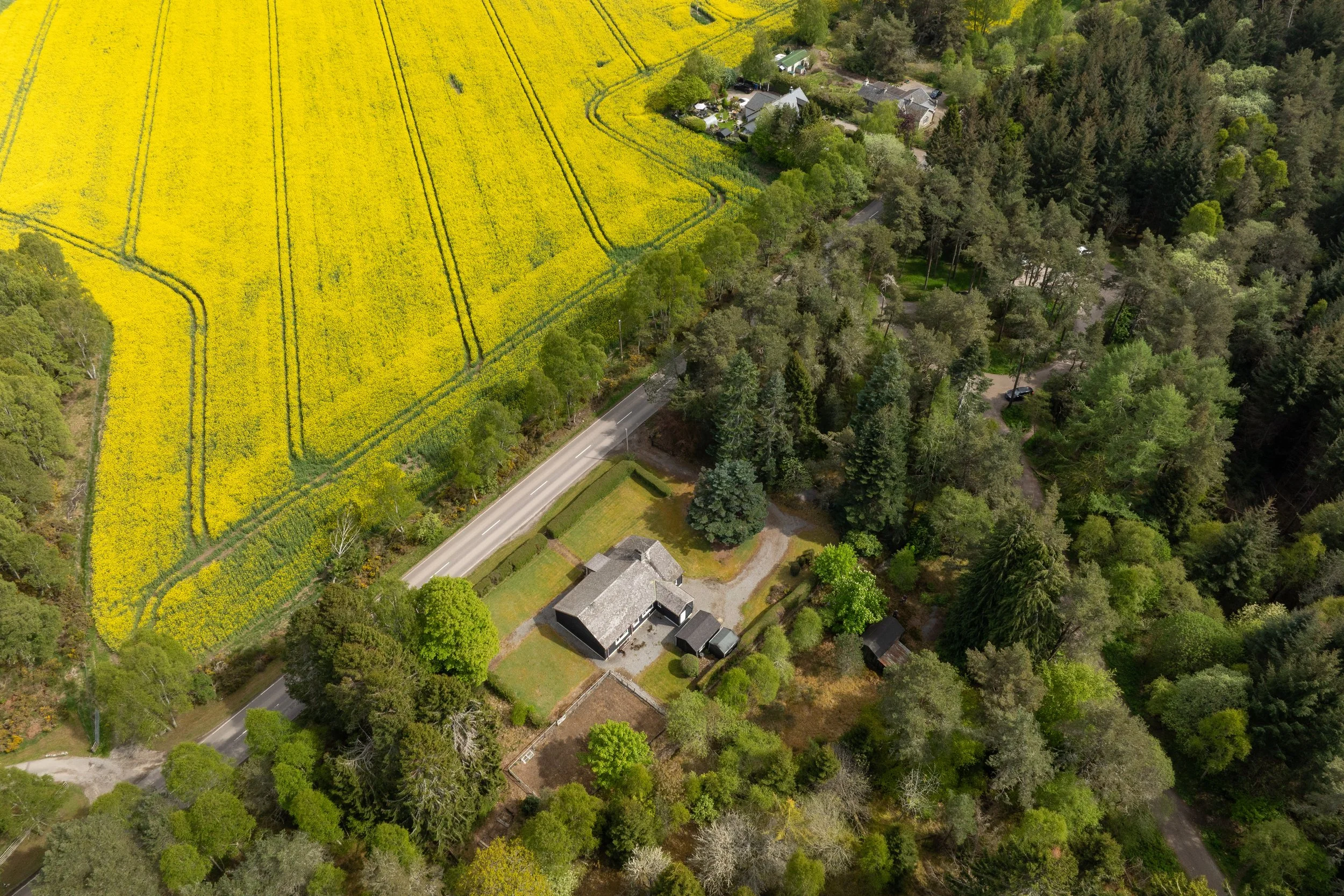 DJI_0707.jpg