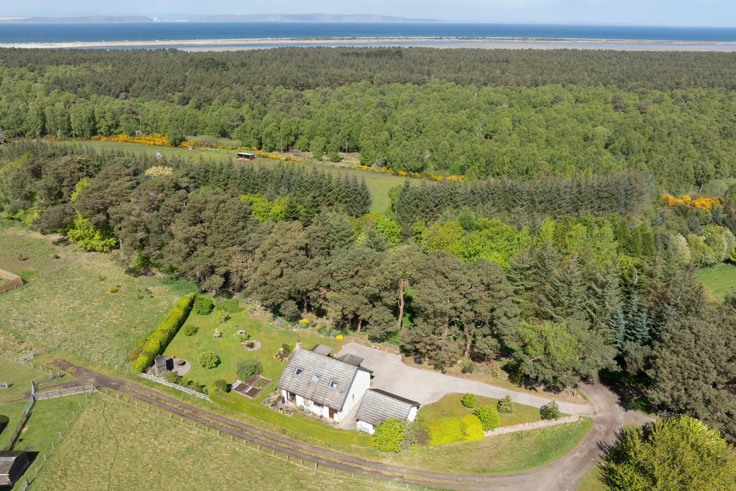 DJI_0724.jpg