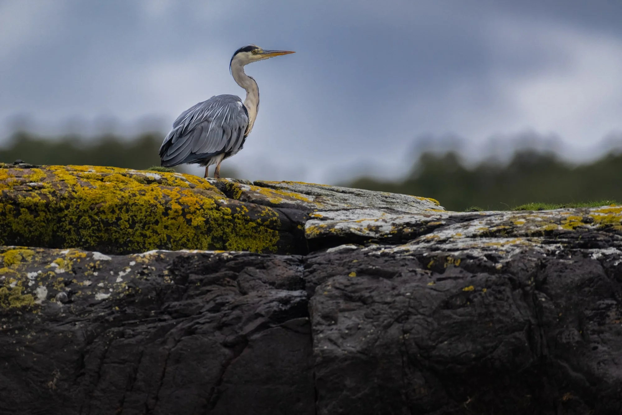 _DSC1640-Edit.jpg