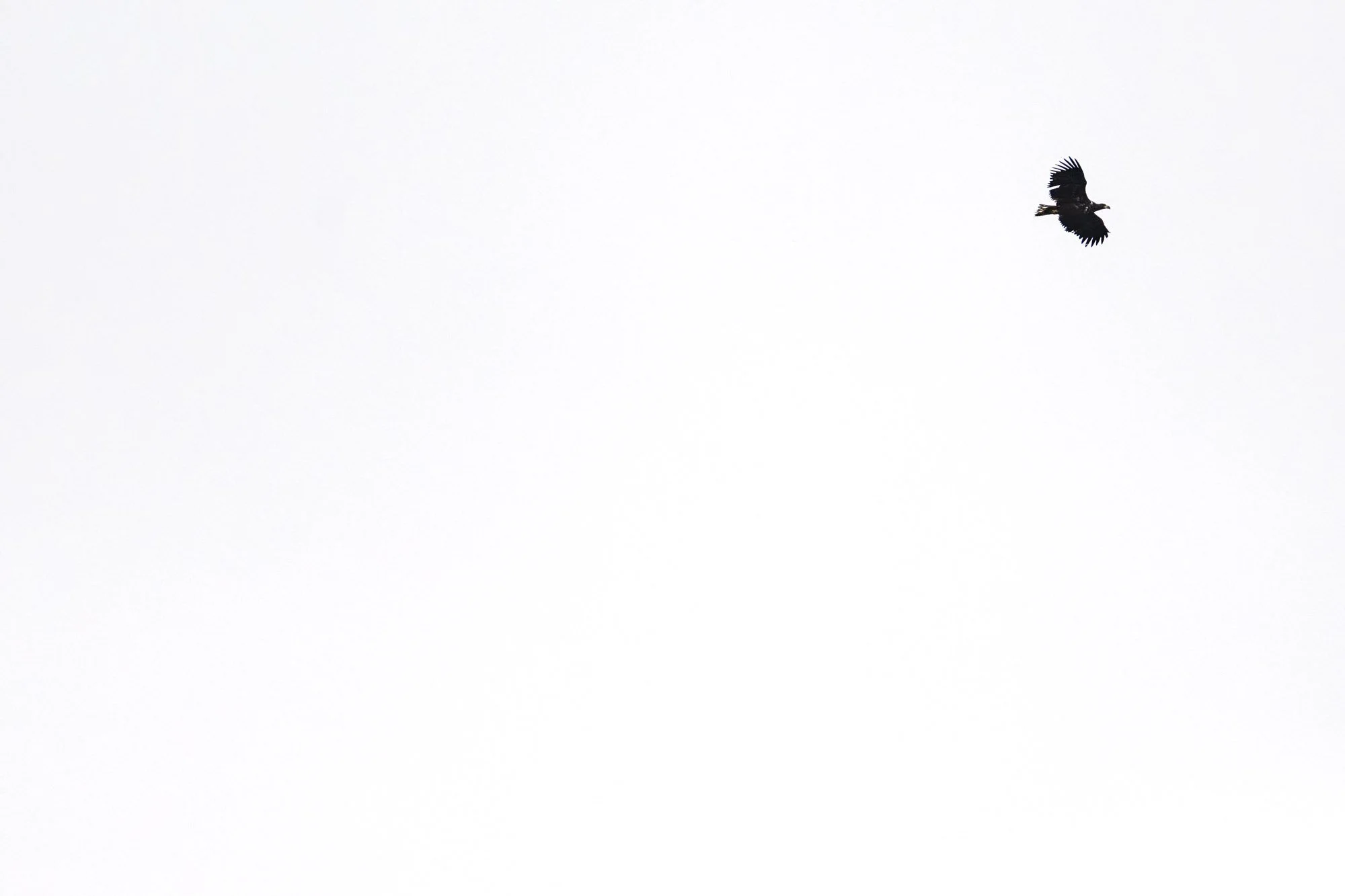 _DSC1741-Edit.jpg