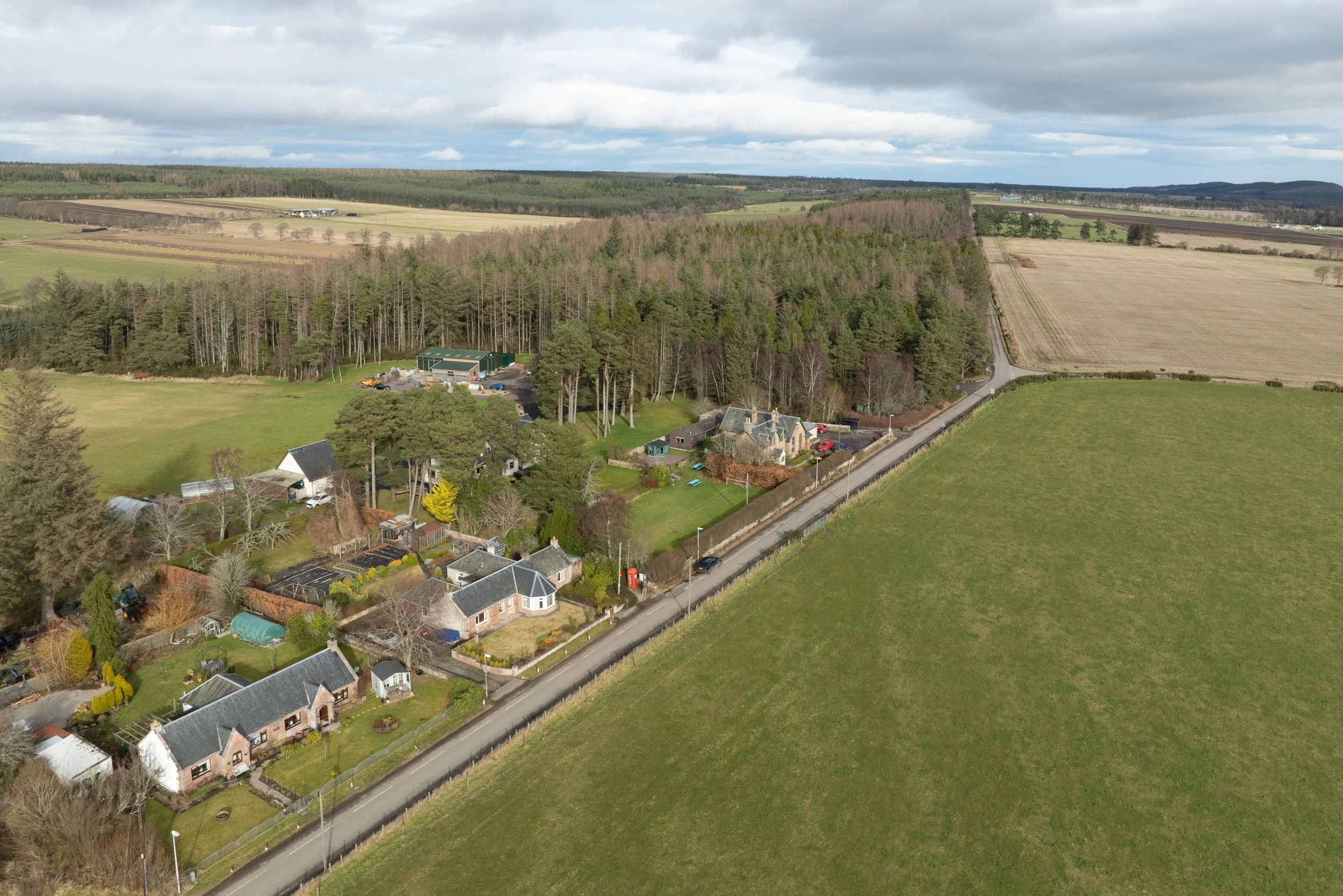 DJI_0310.jpg
