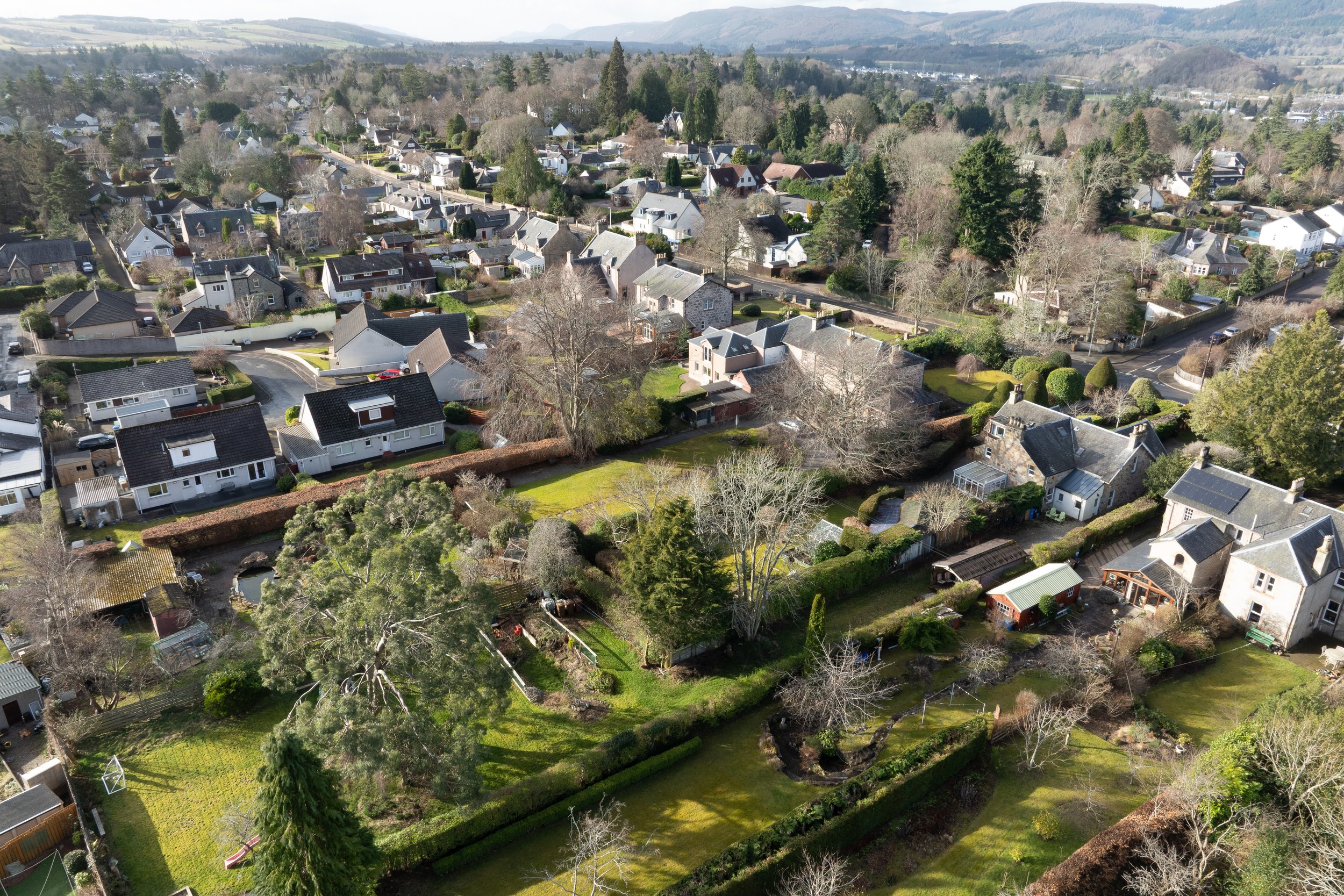DJI_0351.jpg
