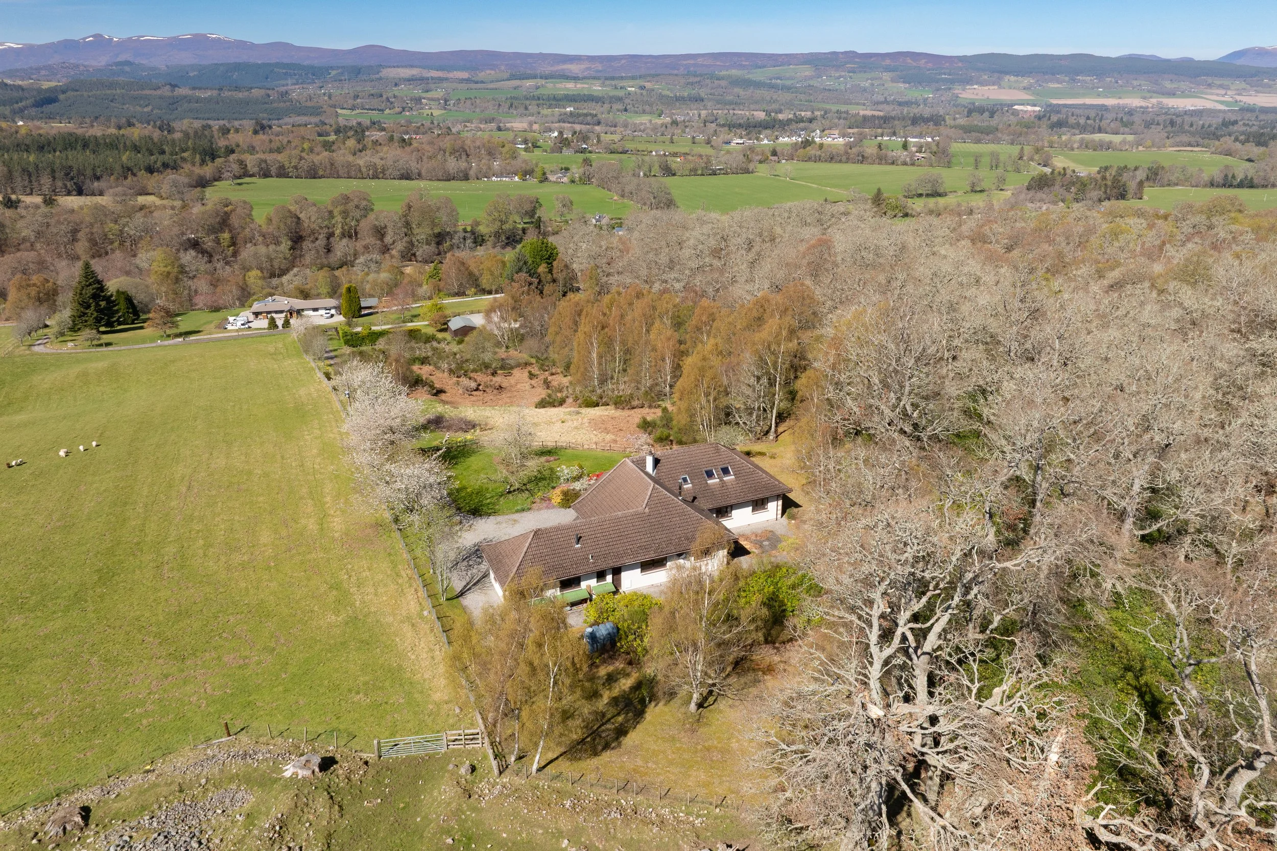 DJI_0286.jpg
