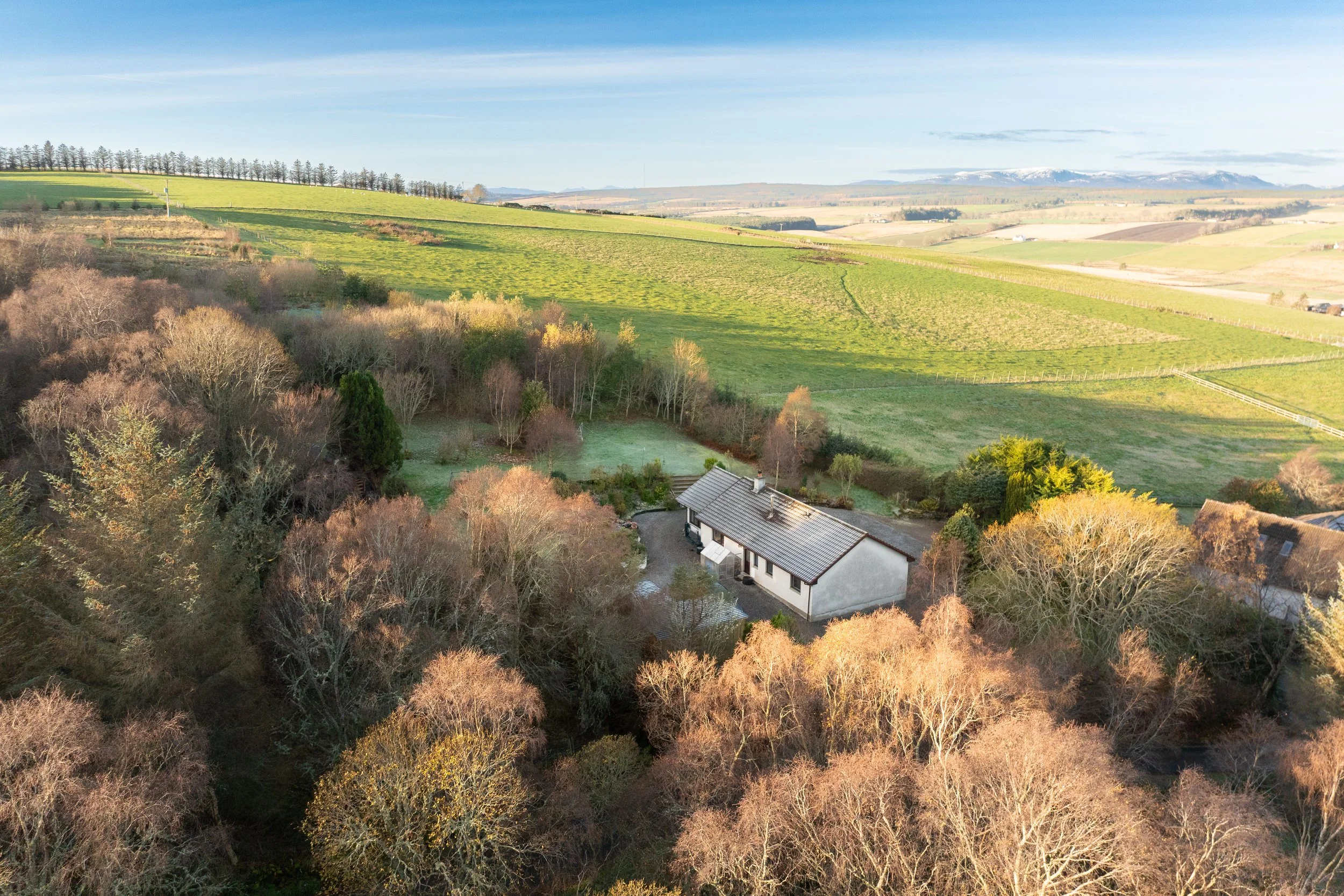 DJI_0024.jpg