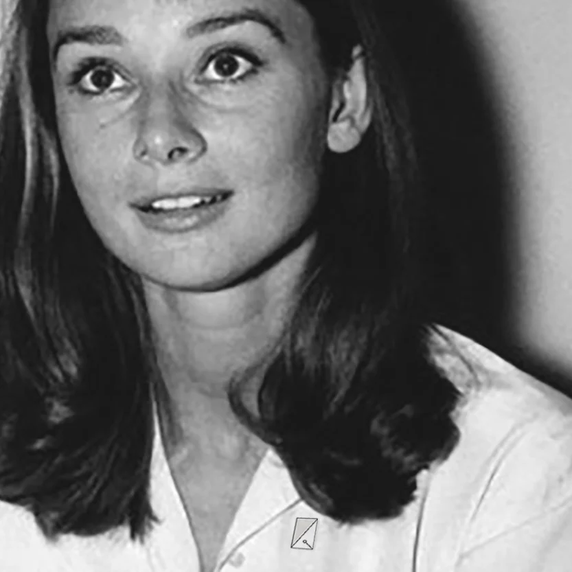 audreyhepburn_pin_grey.jpg