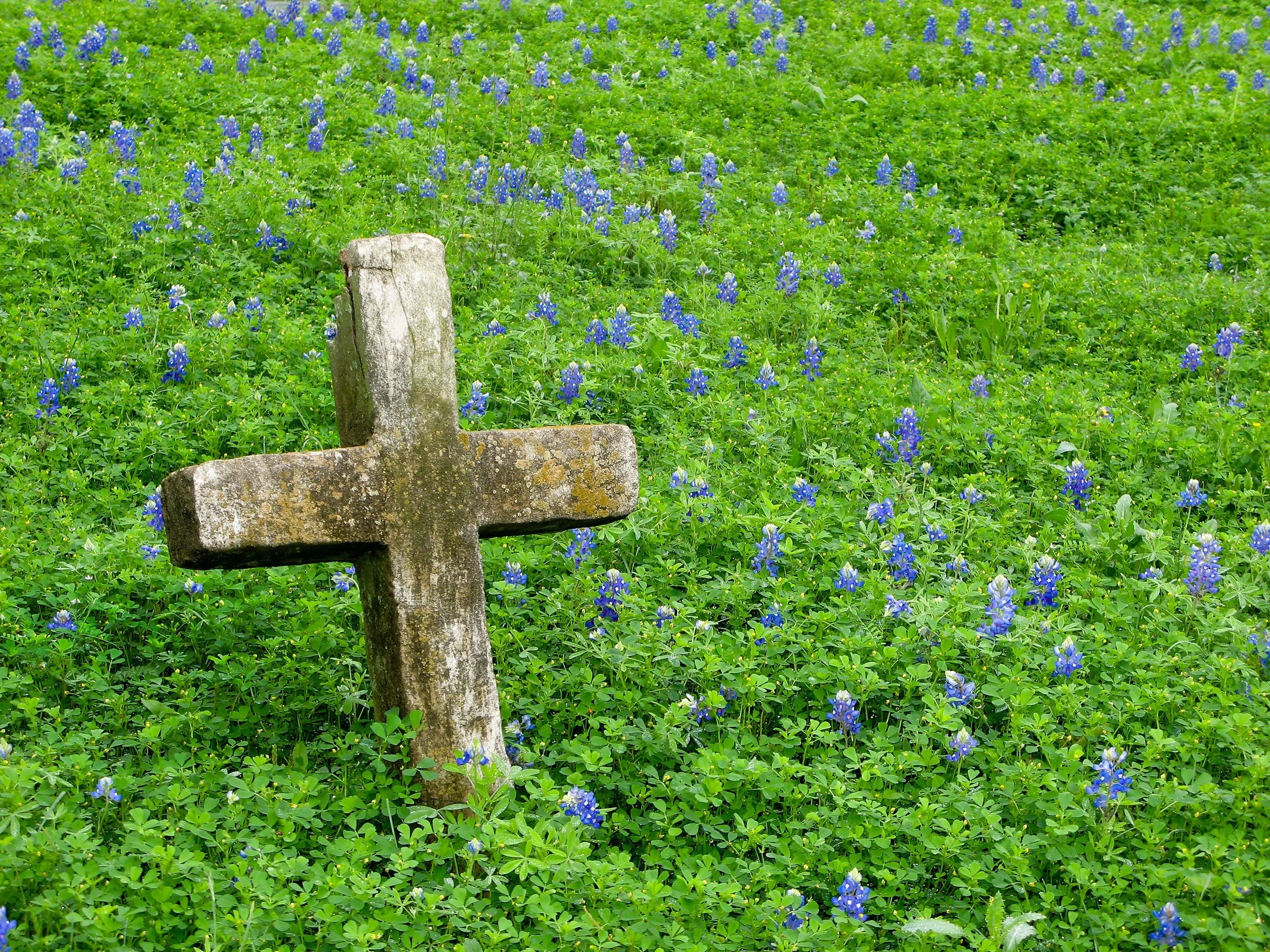 Welcome to An Anglican In Texas