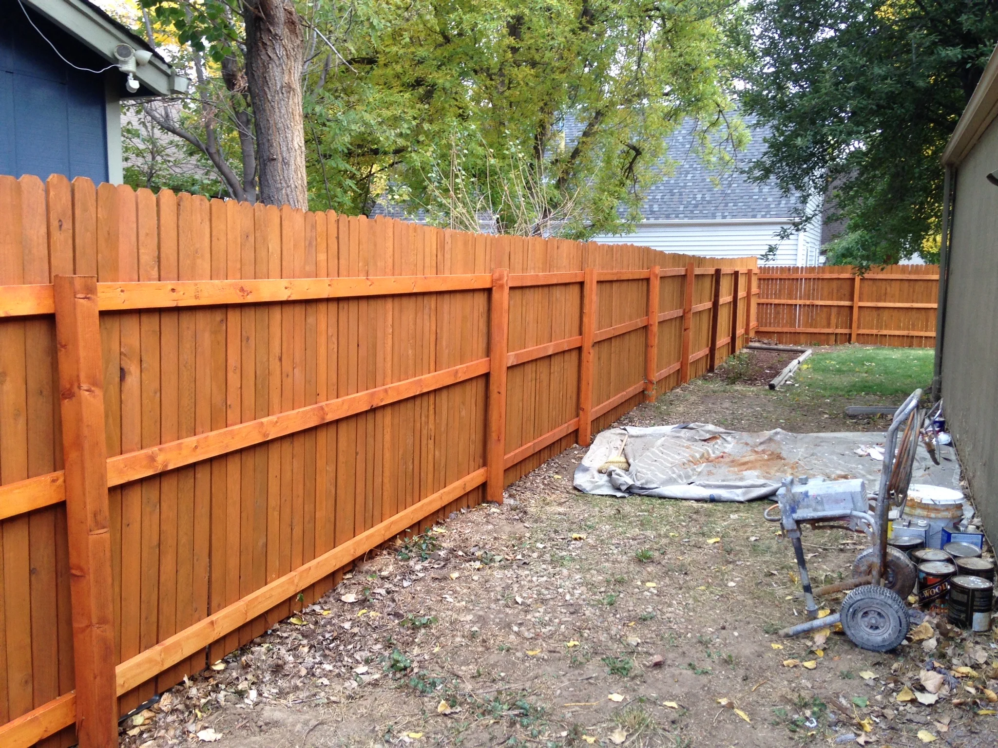 Stained cedar privacy fence