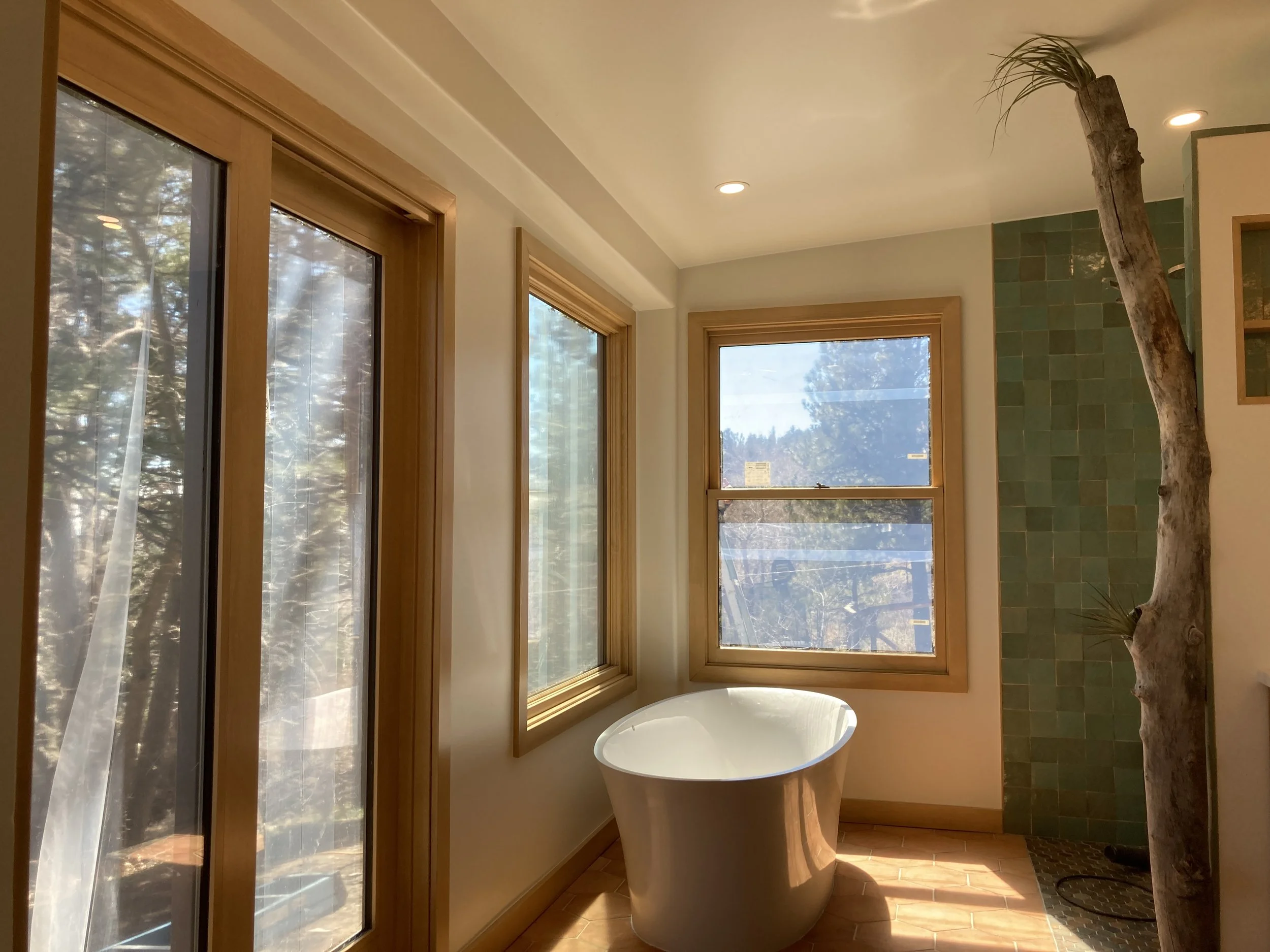 Mountain house bathroom addition - All done!