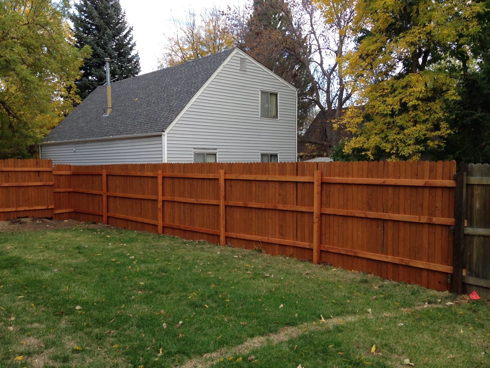 Longmont fence staining