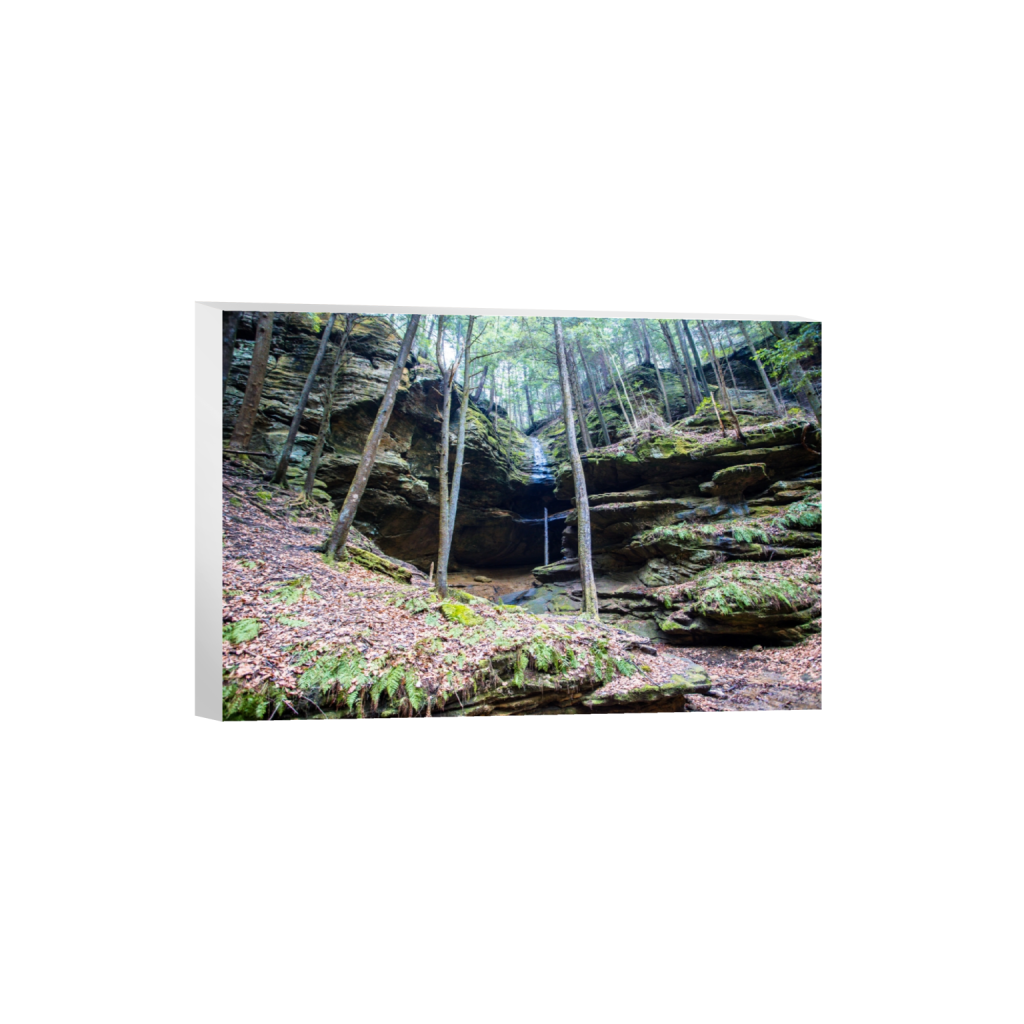 canvas_rectangle2_3_0_0_6631_4420_0.png