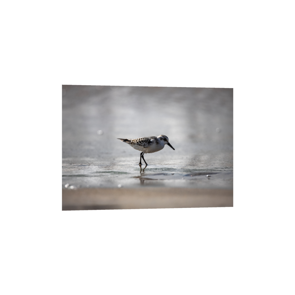 fineartprints_rectangle5_7_224_0_6272_4480_0.png