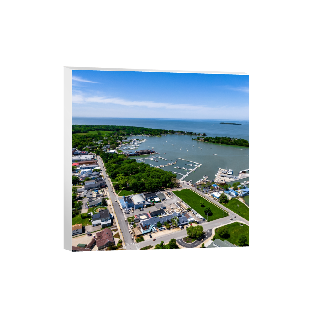canvas_square_500_0_2992_2992_0.png