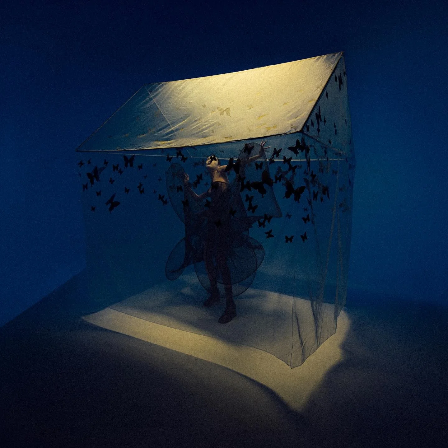 Walk along the line - Editorial