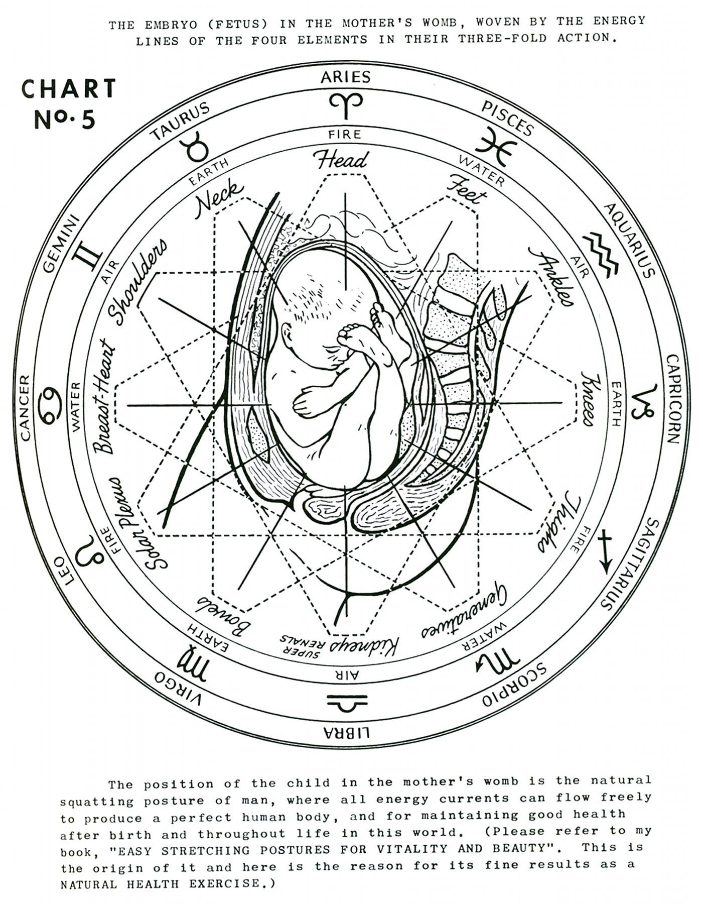 Astrology_chart.jpg