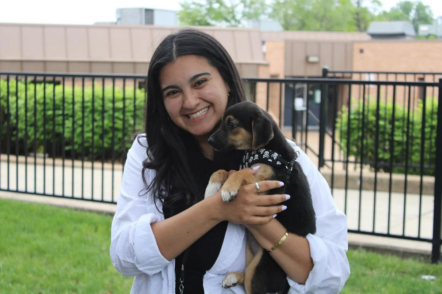 K8 Charter School in St. Louis Premier Charter School