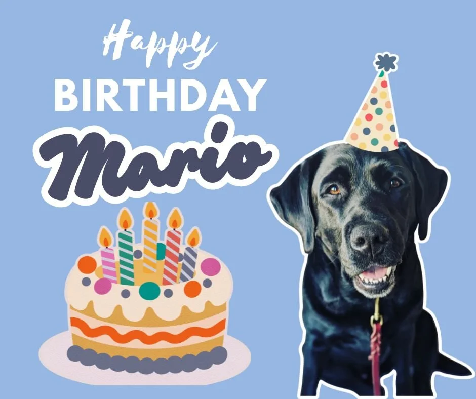 Paw-ty time! Happy 6th Birthday to our amazing facility dog, Mario! 🎉 We are so lucky to have this handsome boy bringing smiles and comfort every day. ❤️ 
Drop a &quot;Happy Birthday&quot; below to show Mario some love! 👇