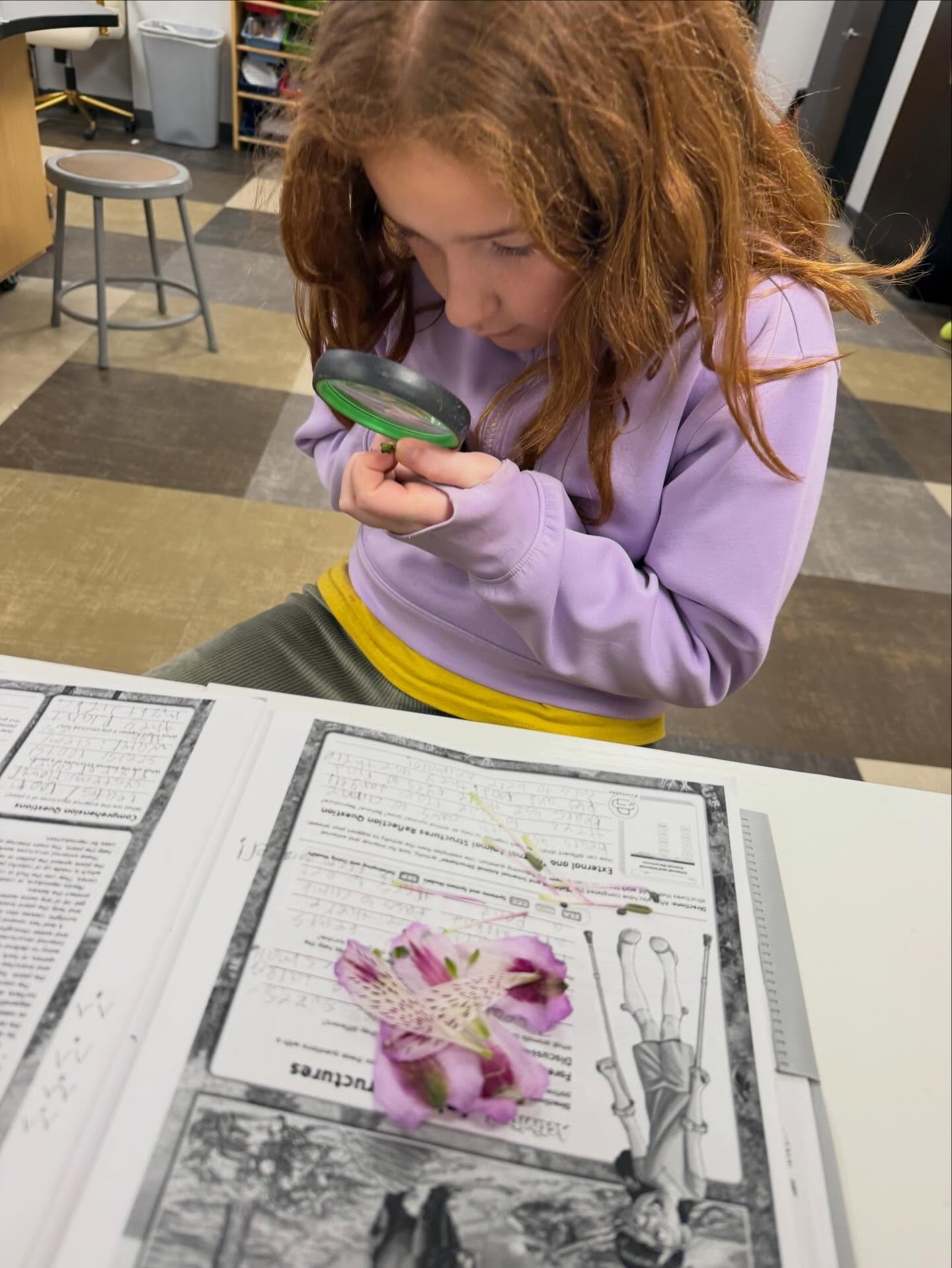 Zooming in on science! 🔍✨
Our students always have a blast discovering the world around them in Ms. Sullivan’s class. There’s nothing quite like seeing that “aha!” moment through a magnifying glass. 🌸🧪