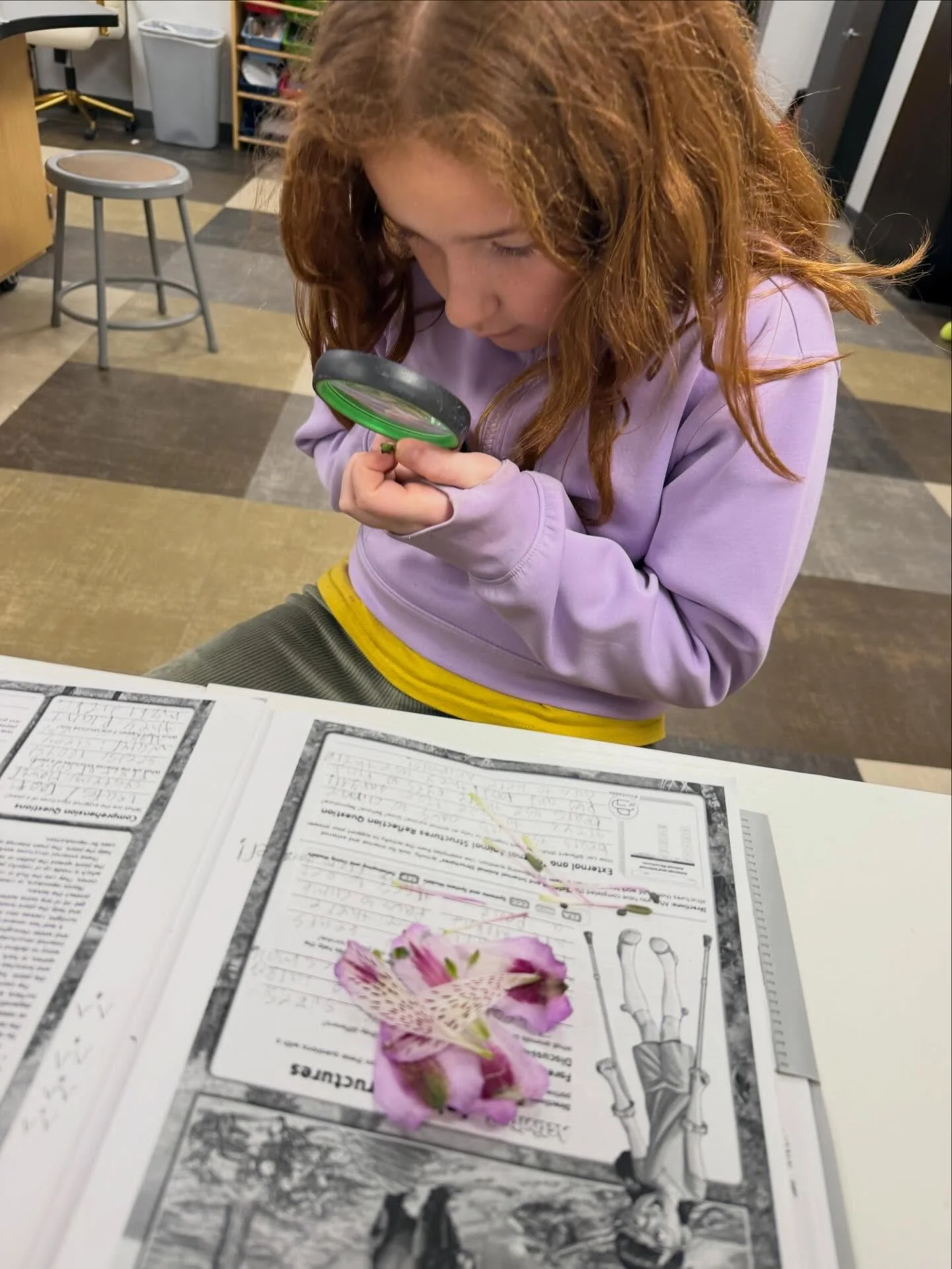 Zooming in on science! 🔍✨
Our students always have a blast discovering the world around them in Ms. Sullivan’s class. There’s nothing quite like seeing that “aha!” moment through a magnifying glass. 🌸🧪