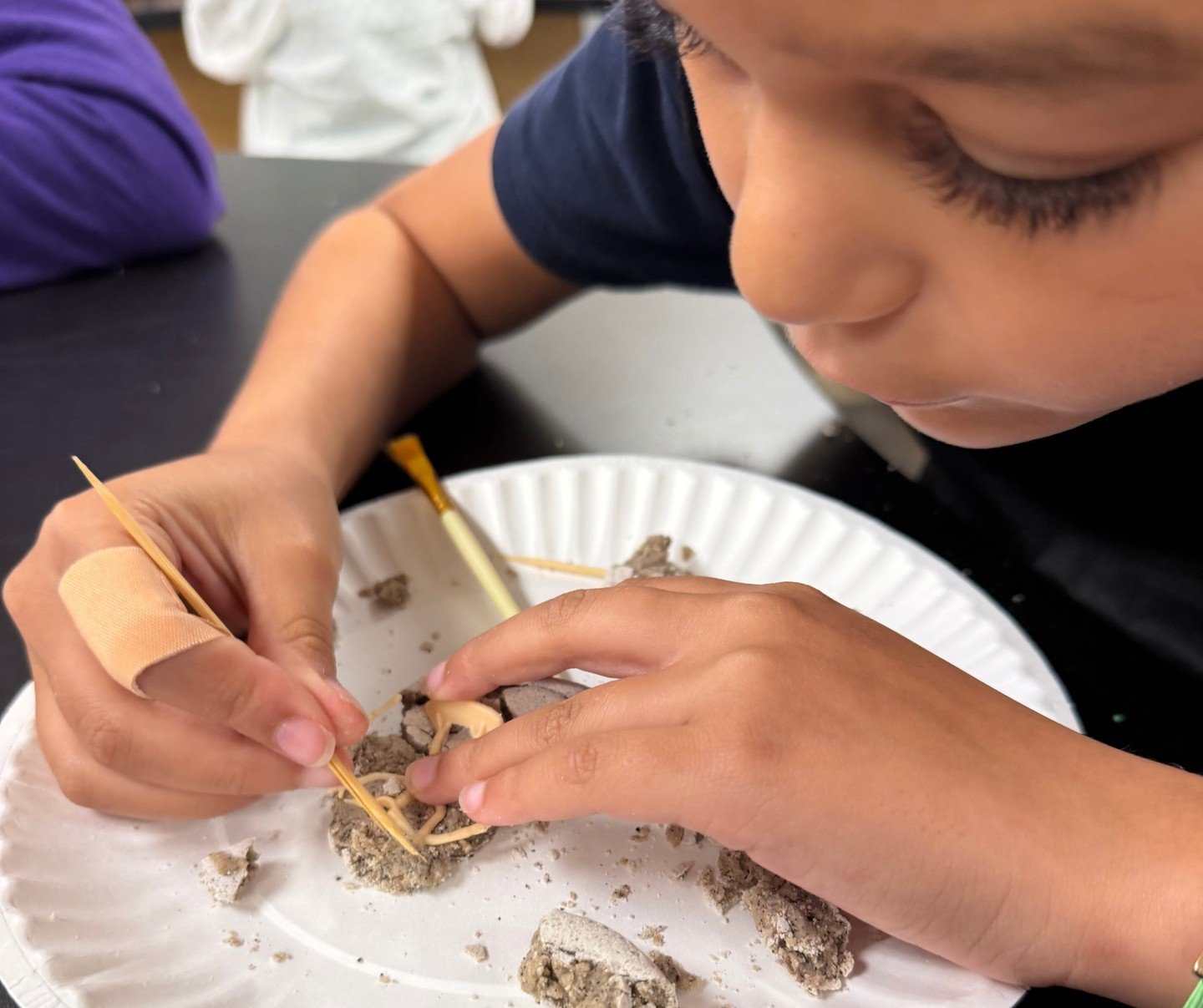 Digging into science one fossil at a time! 🦴⛏️ 

Our fourth graders became junior archaeologists today, carefully uncovering fossils made from “dino dough”
