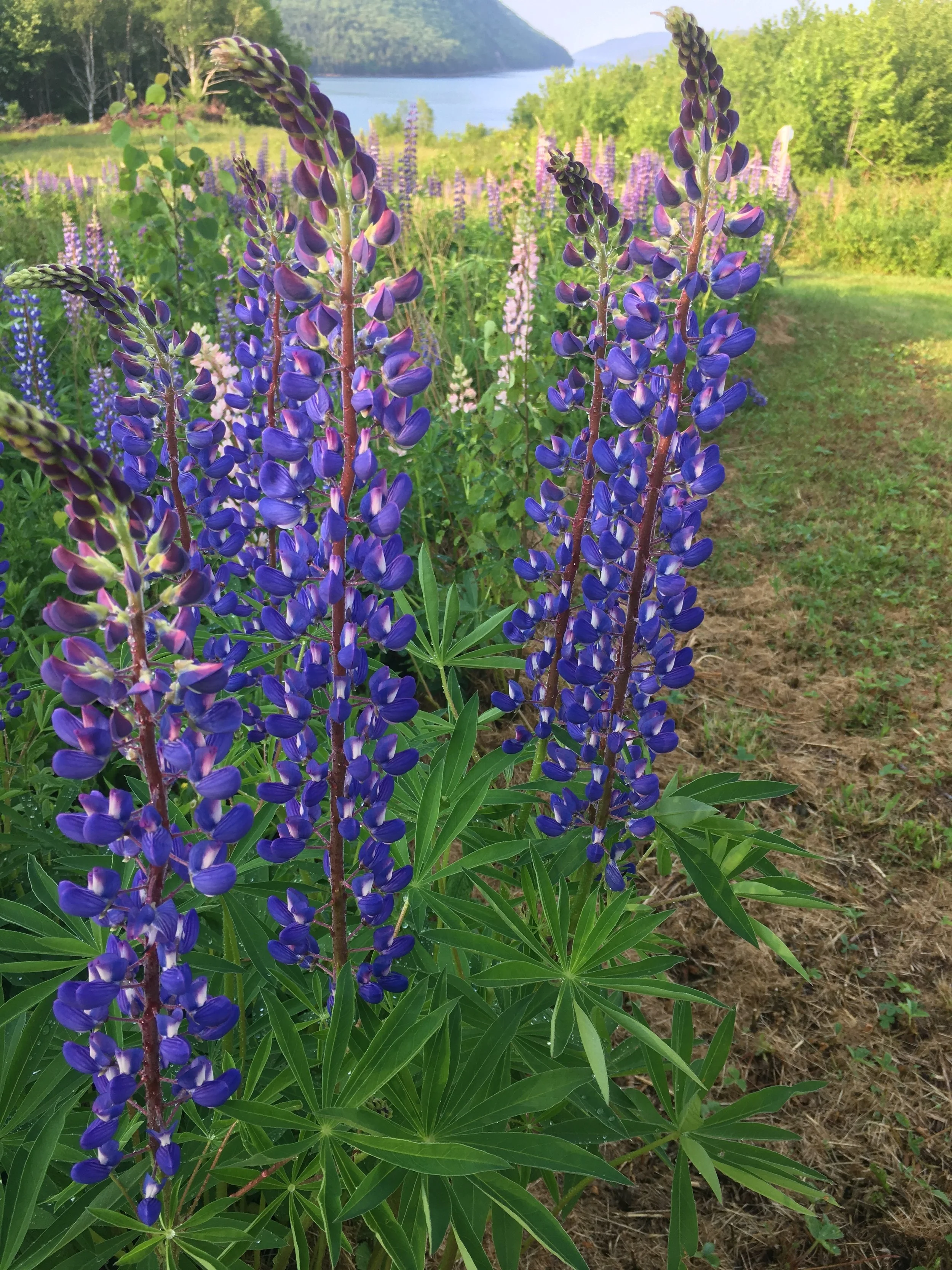 Written Rhythm: Notation