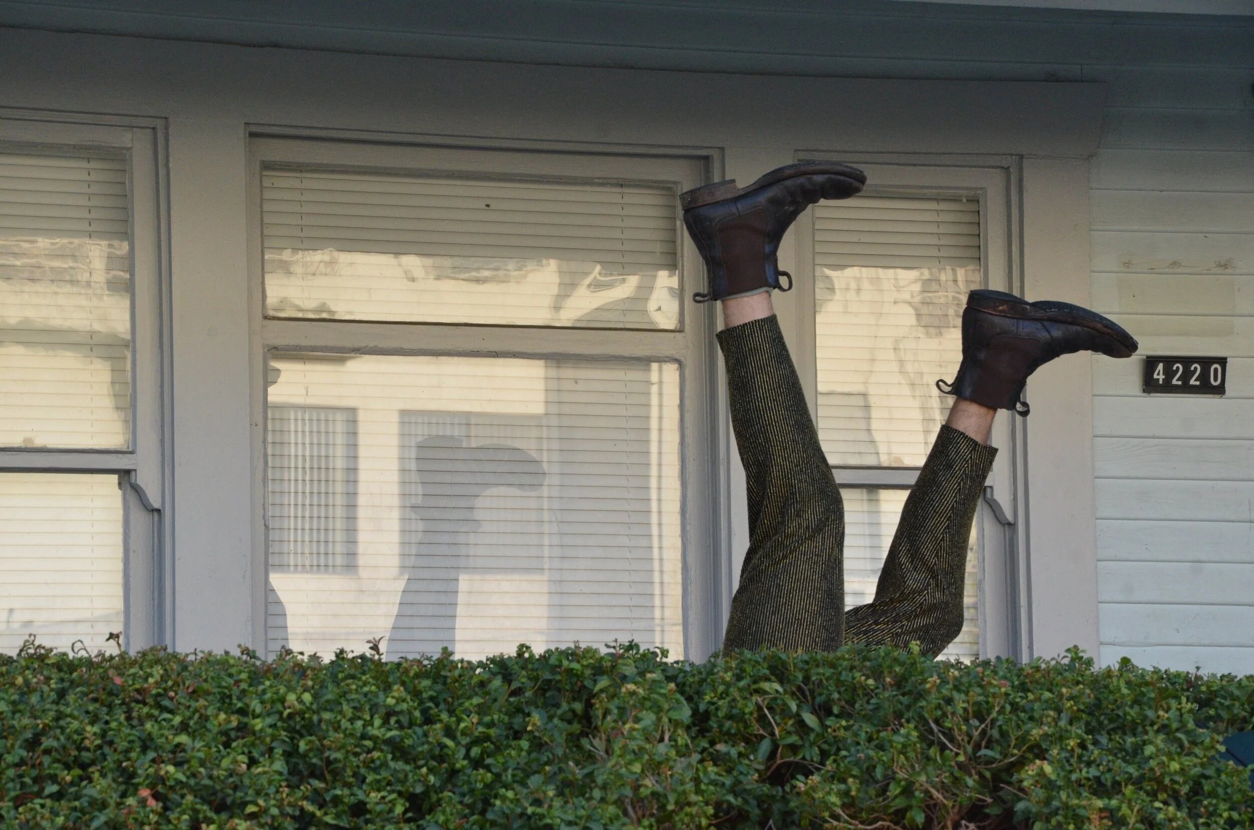 Press about Chamoune