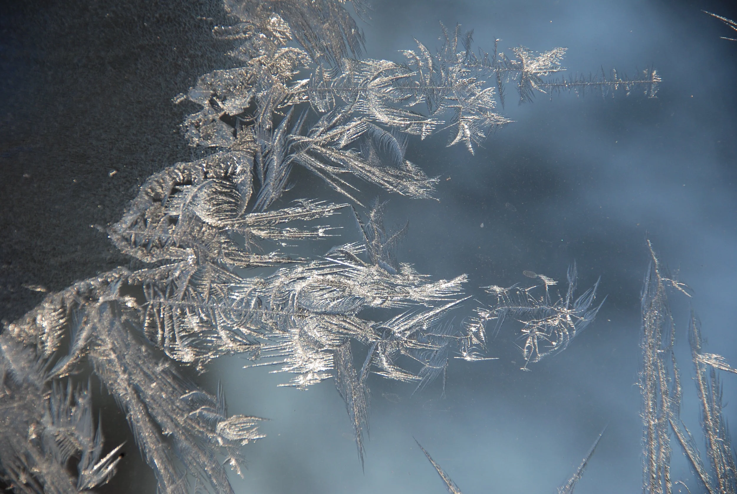 Celebrate the Season with Winter Window Frost, a Piano Solo