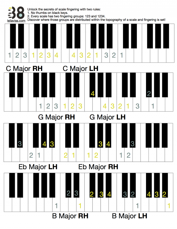 Scale-Fingering-600x776.png