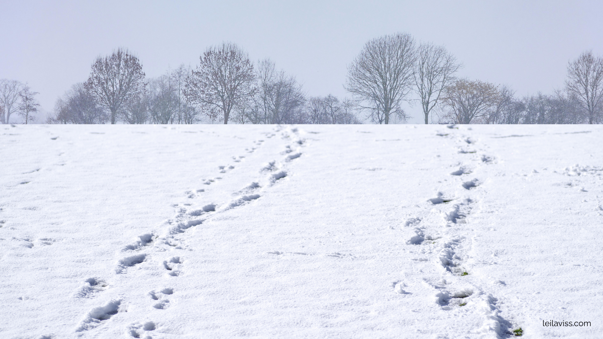 two paths