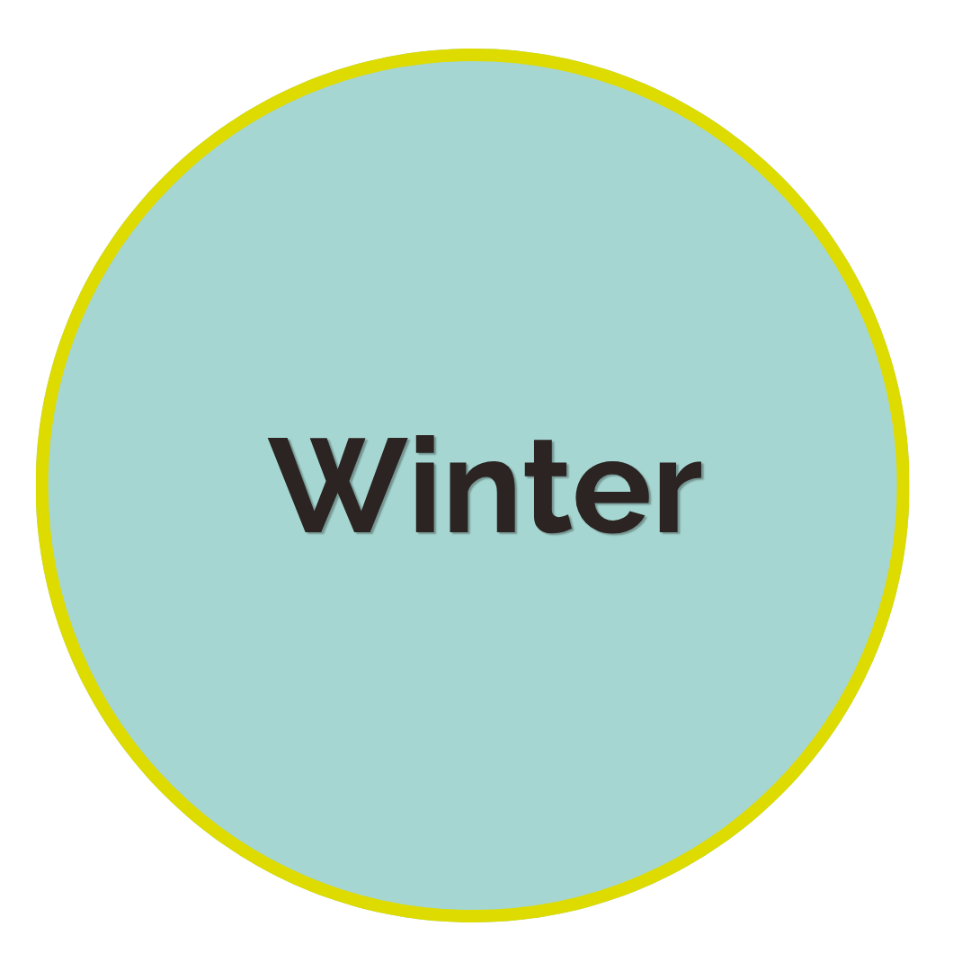 JumpstartStore circles (6).png