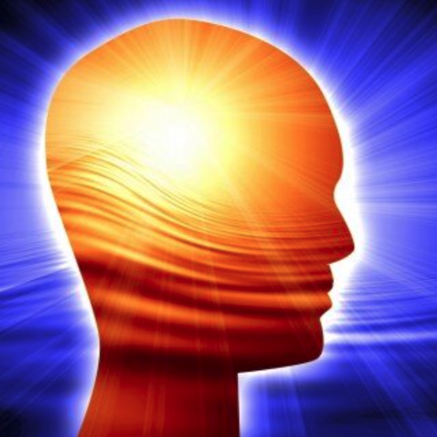 3. What Is Yoga What is Meditative and Non-Meditative State