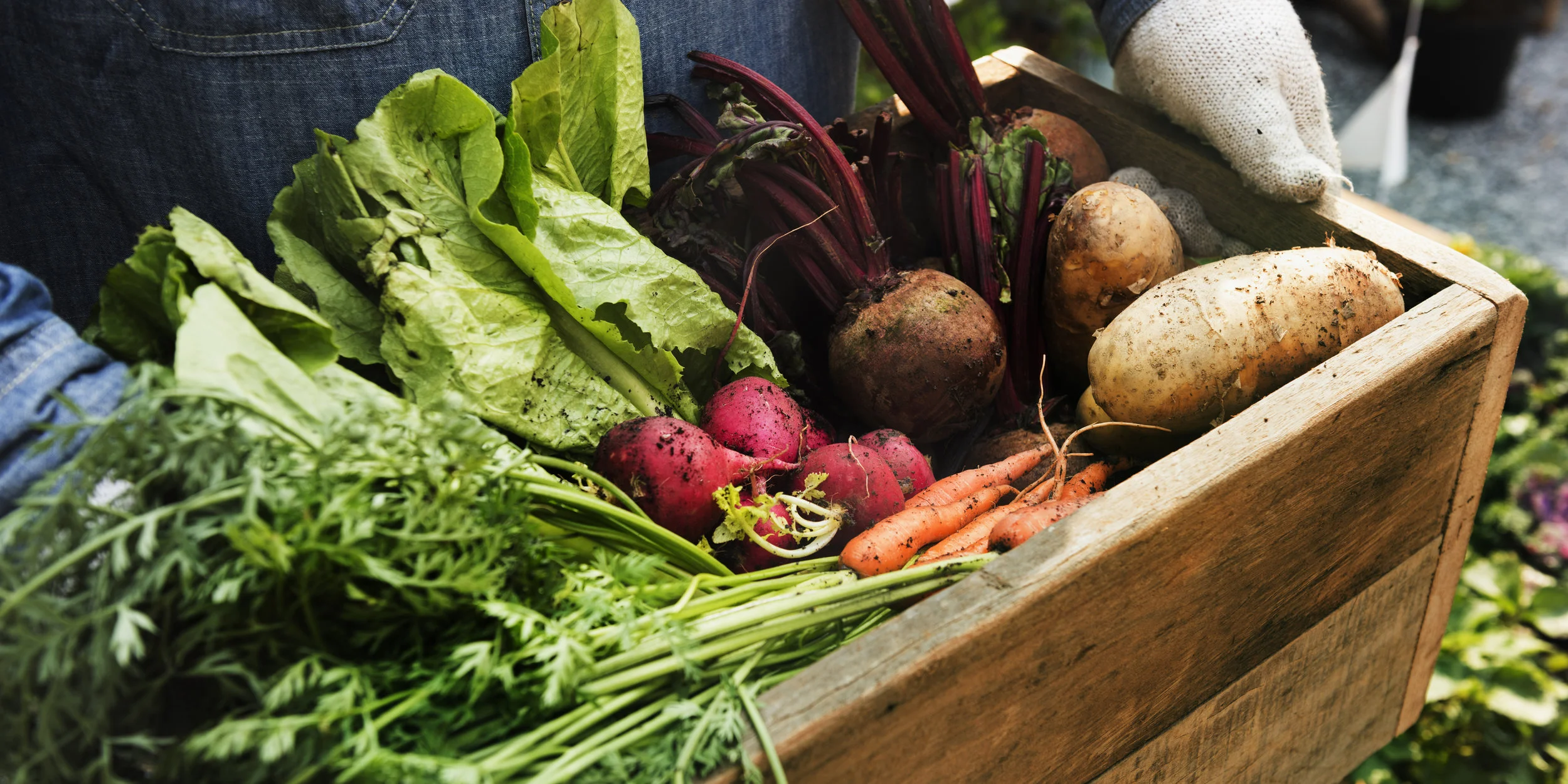 shutterstock_613911239 (1).jpg