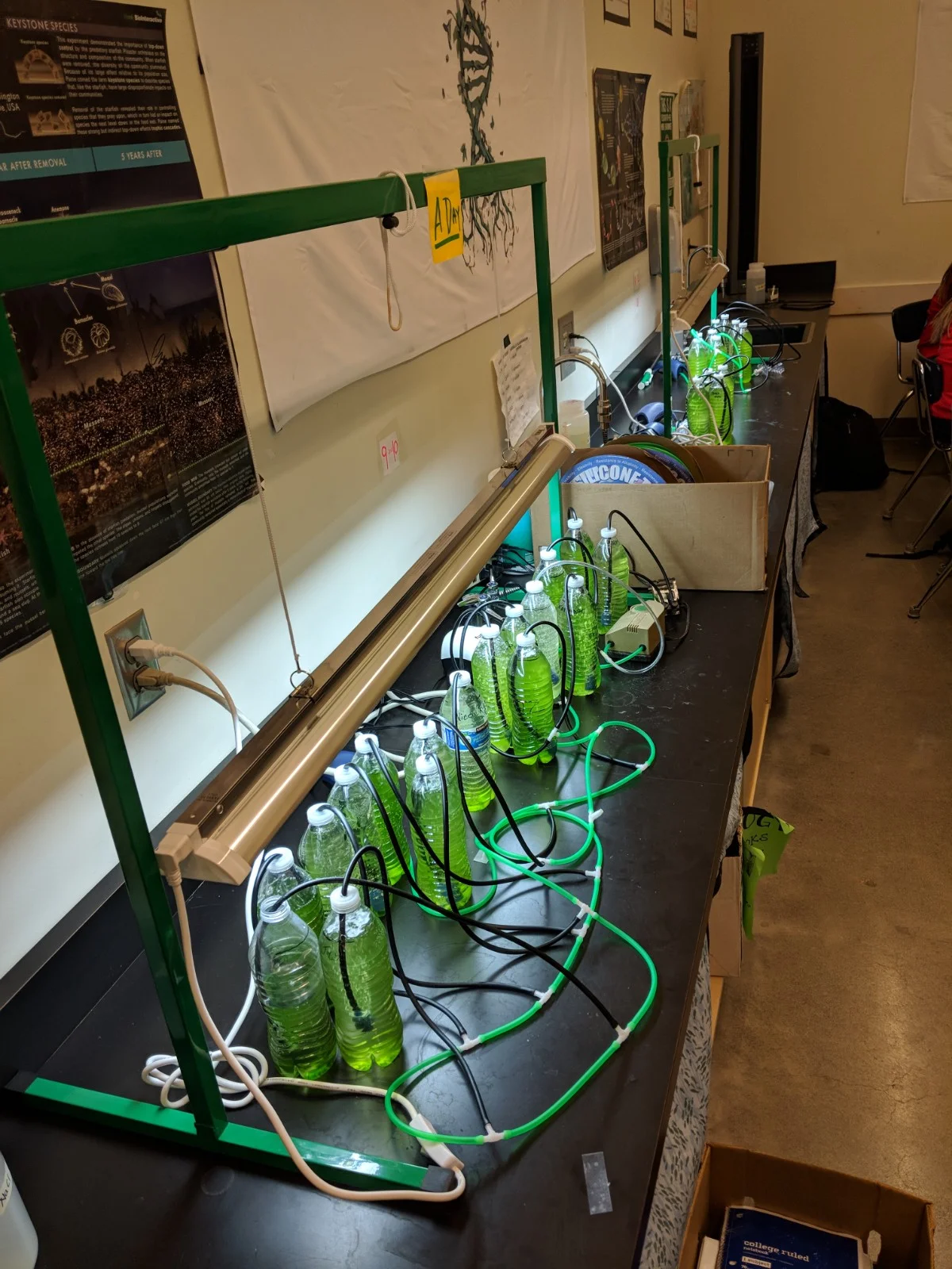 Acree - Biofuel Engineering 3.jpg