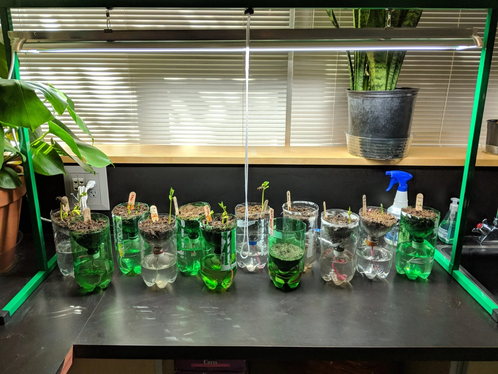 New Equipment for DDHS Biology Classrooms