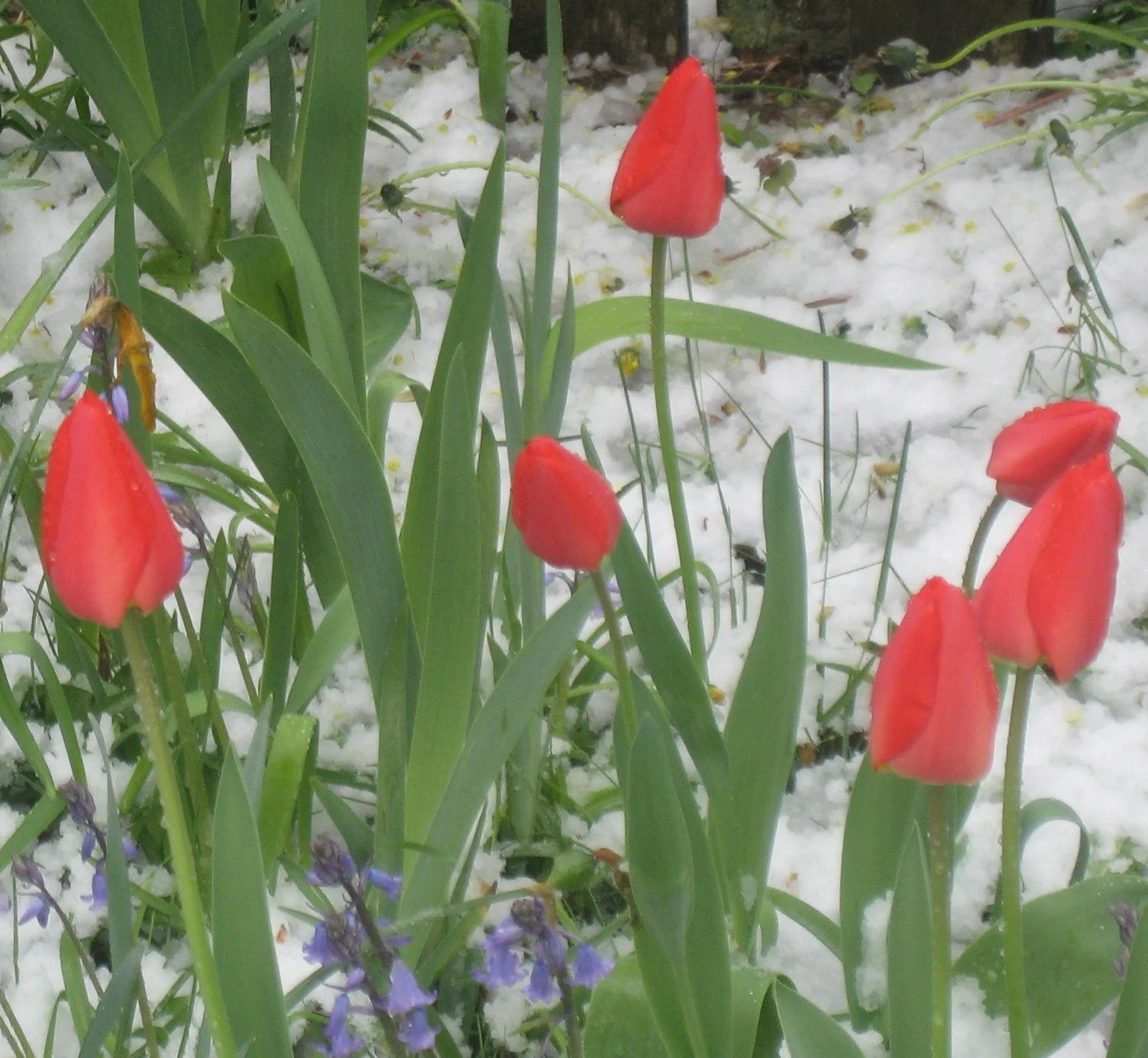 2022 Spring Grants Awarded