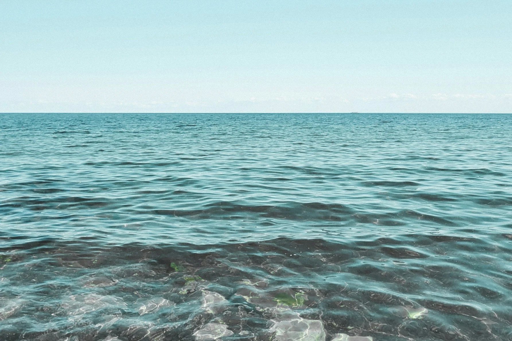 unsplash-image--J8hdZv8QP0.jpg