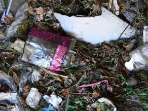 Plastic_and_Styrofoam_Contamination_in_Municipal_Compost.jpg