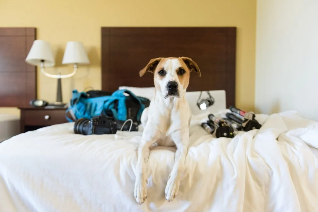 Our days usually start off in a hotel room somewhere in the middle of nowhere. A simple request to the hotel for two double beds and life is good. One bed for me, one bed for Joplin. You need a solid night of rest before chasing some of the craziest weather nature can create, so it only makes sense, right?